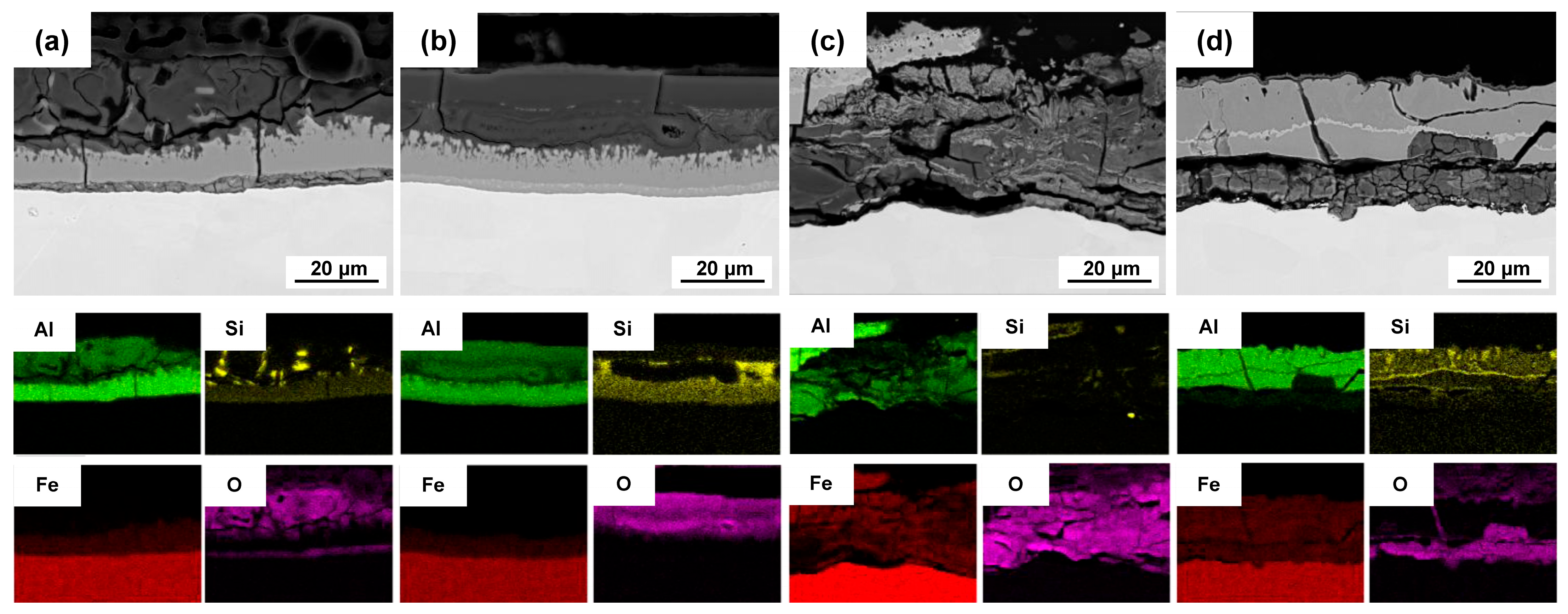 Coatings 16 00621 g013