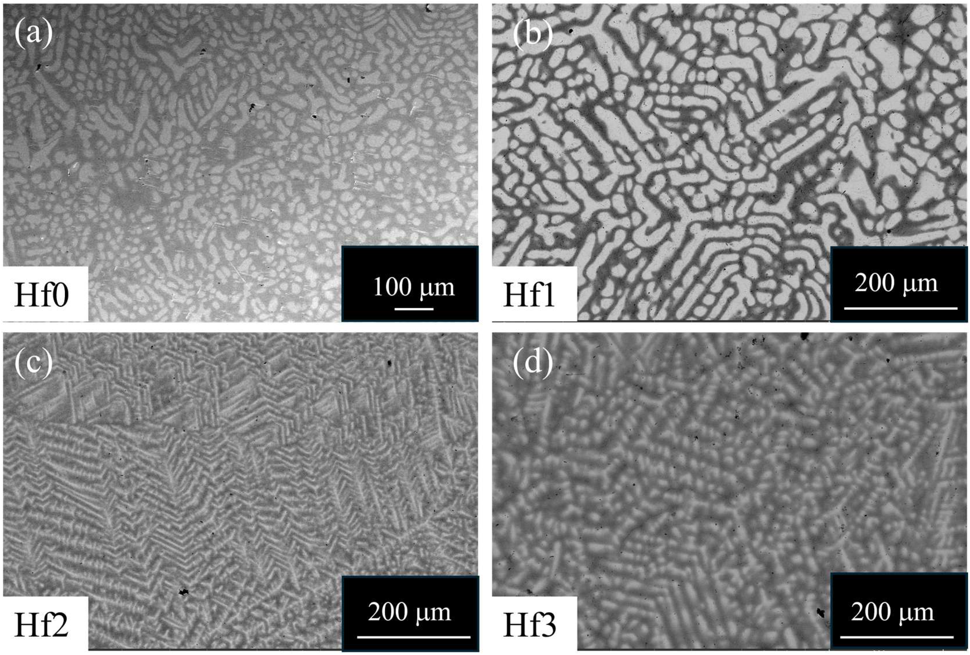 Coatings 16 00625 g002