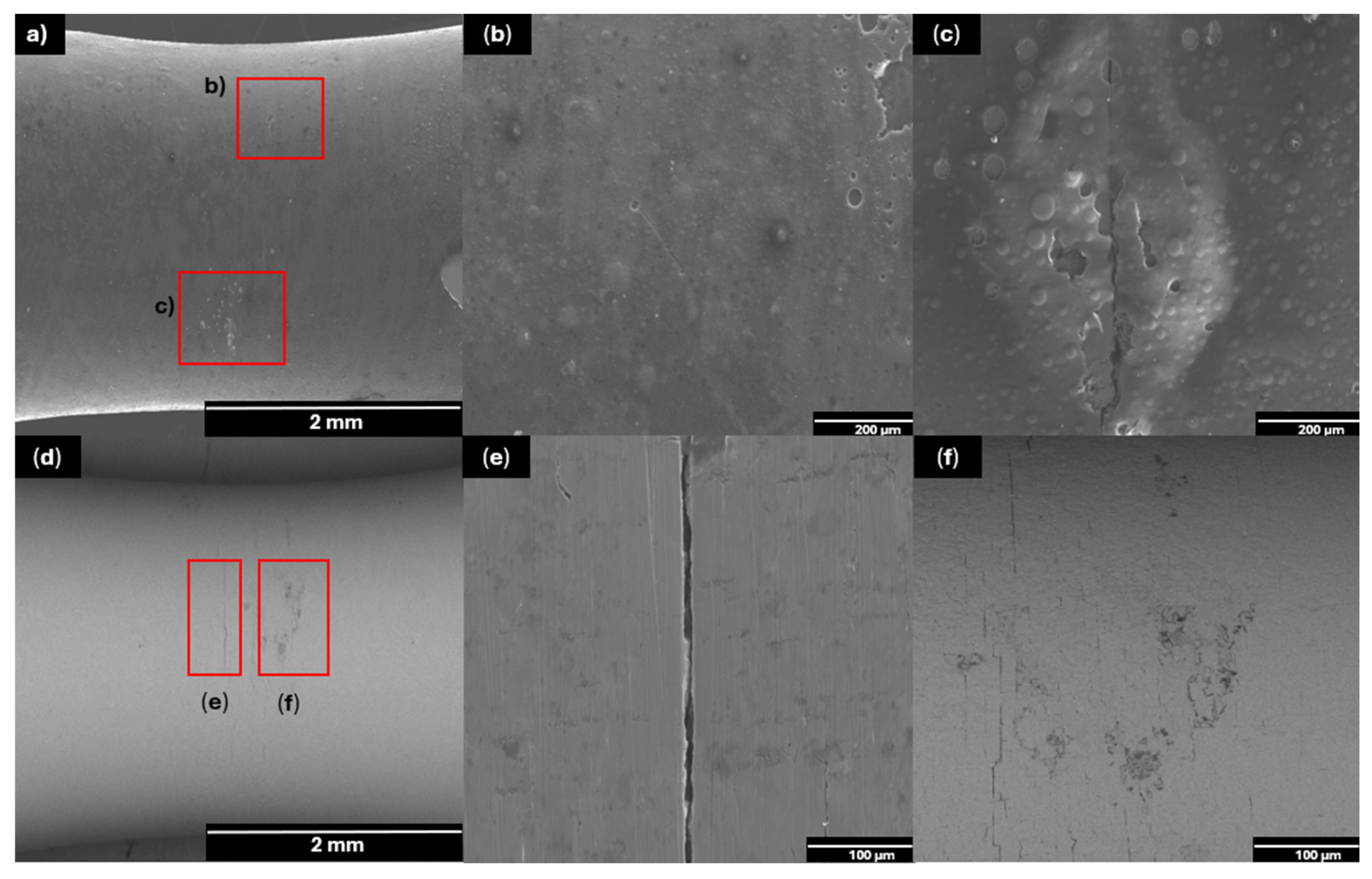Coatings 16 00647 g006