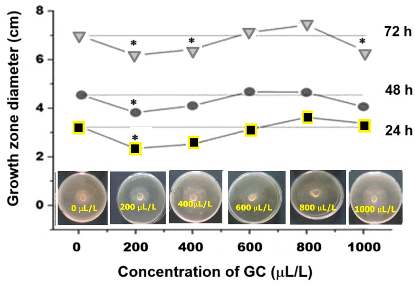 Coatings 16 00657 g009