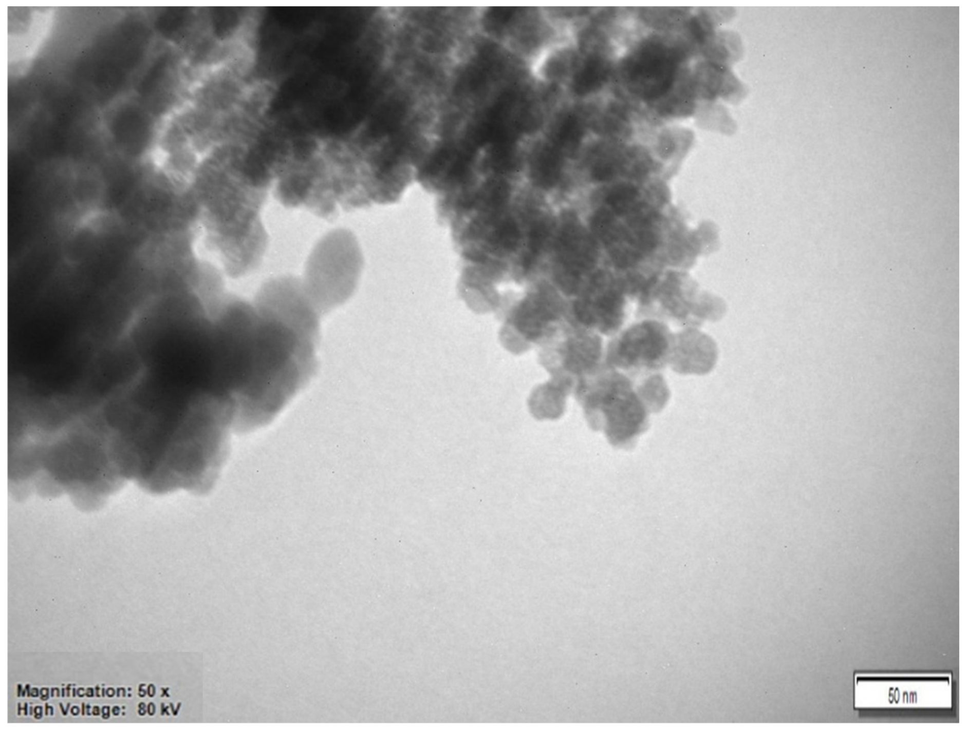 Coatings 16 00664 g002 Coatings 16 00664 g002