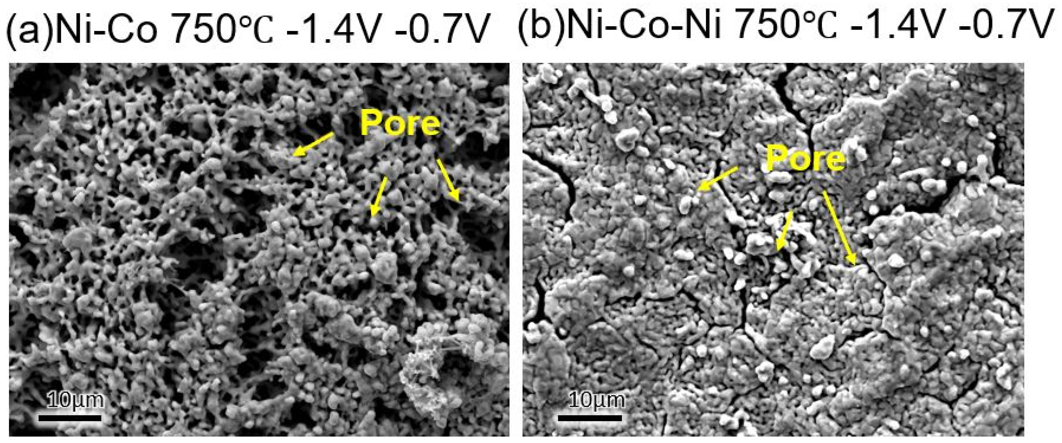 Coatings 16 00679 g006