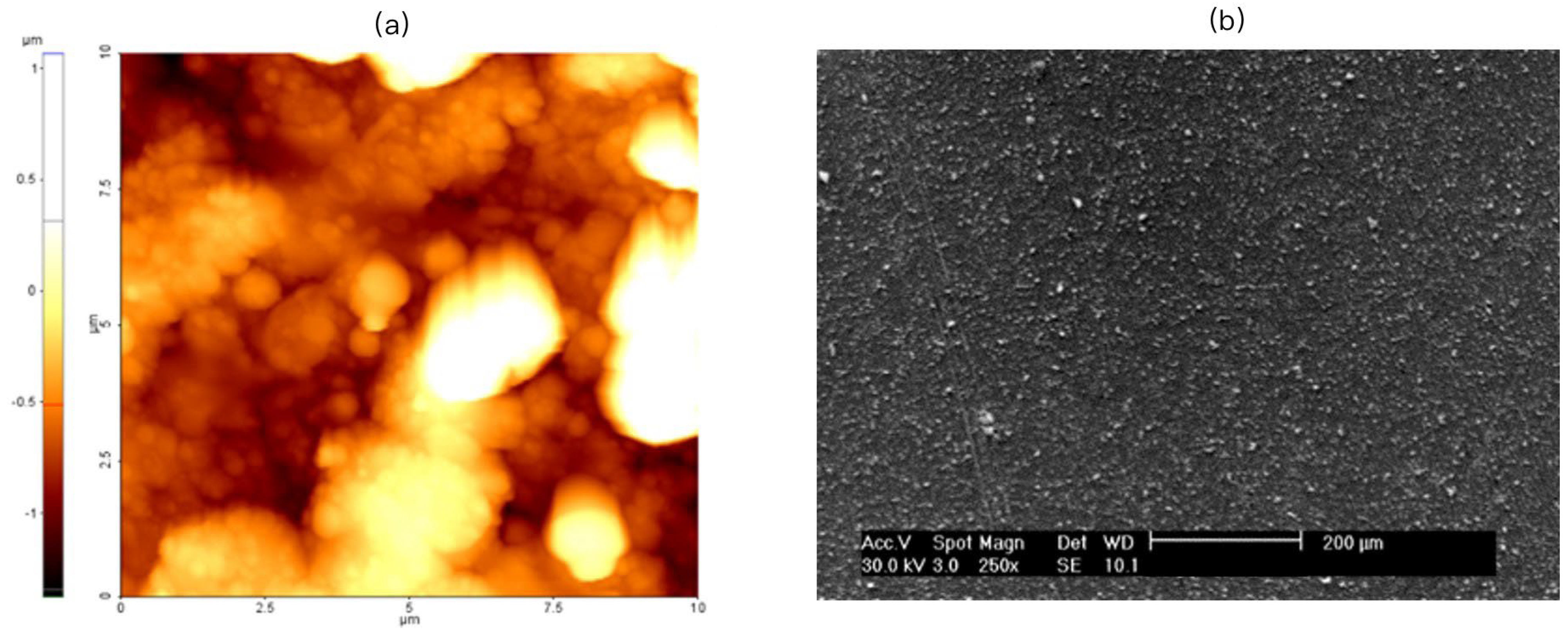 Coatings 16 00702 g002 Coatings 16 00702 g002