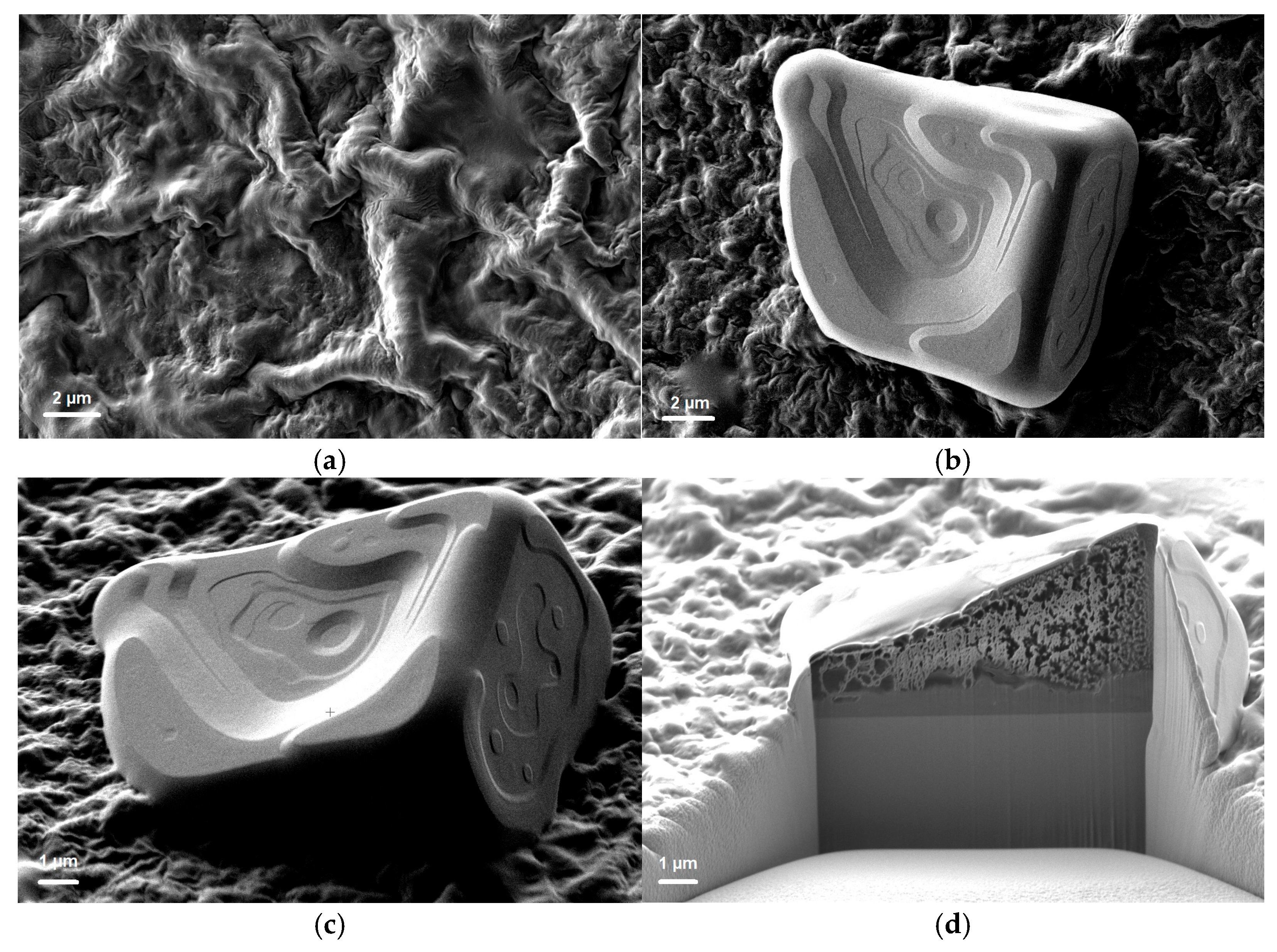 Coatings 16 00787 g006