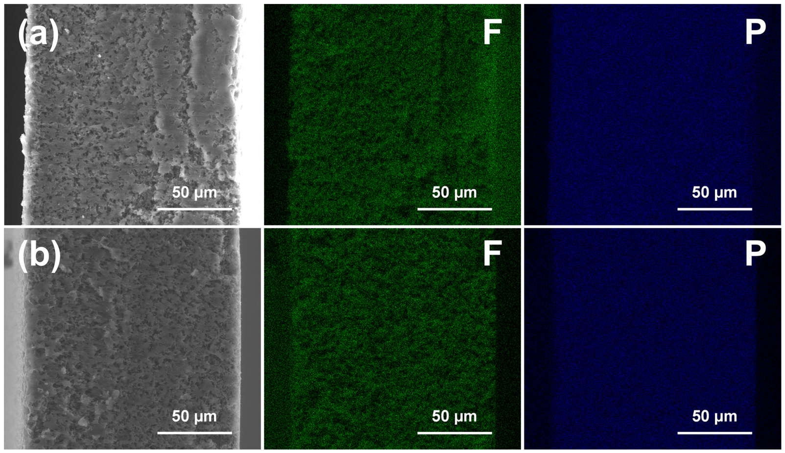 Coatings 16 00817 g004