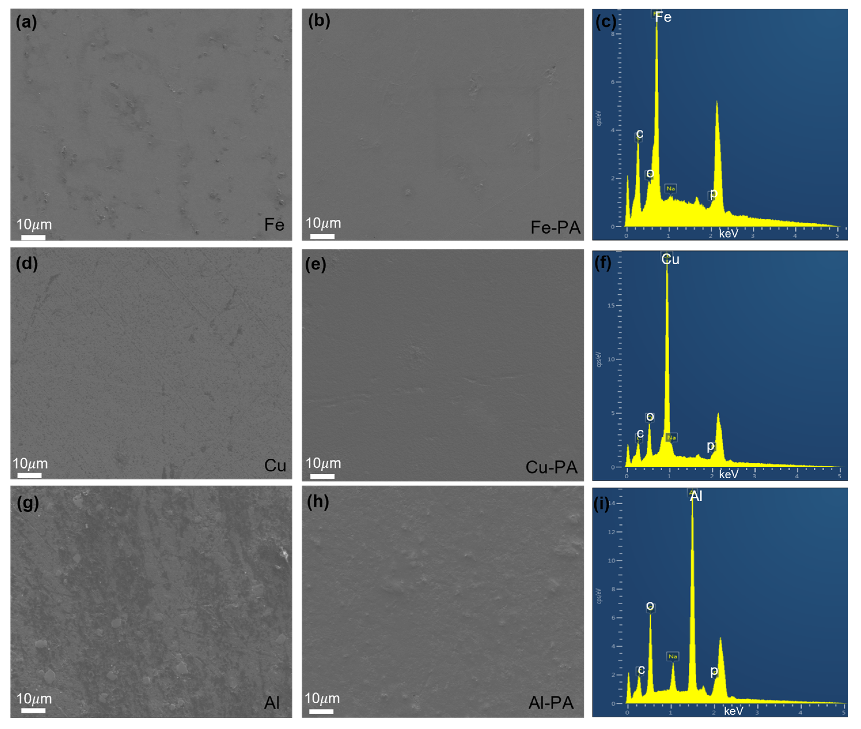 Coatings 16 00819 g008