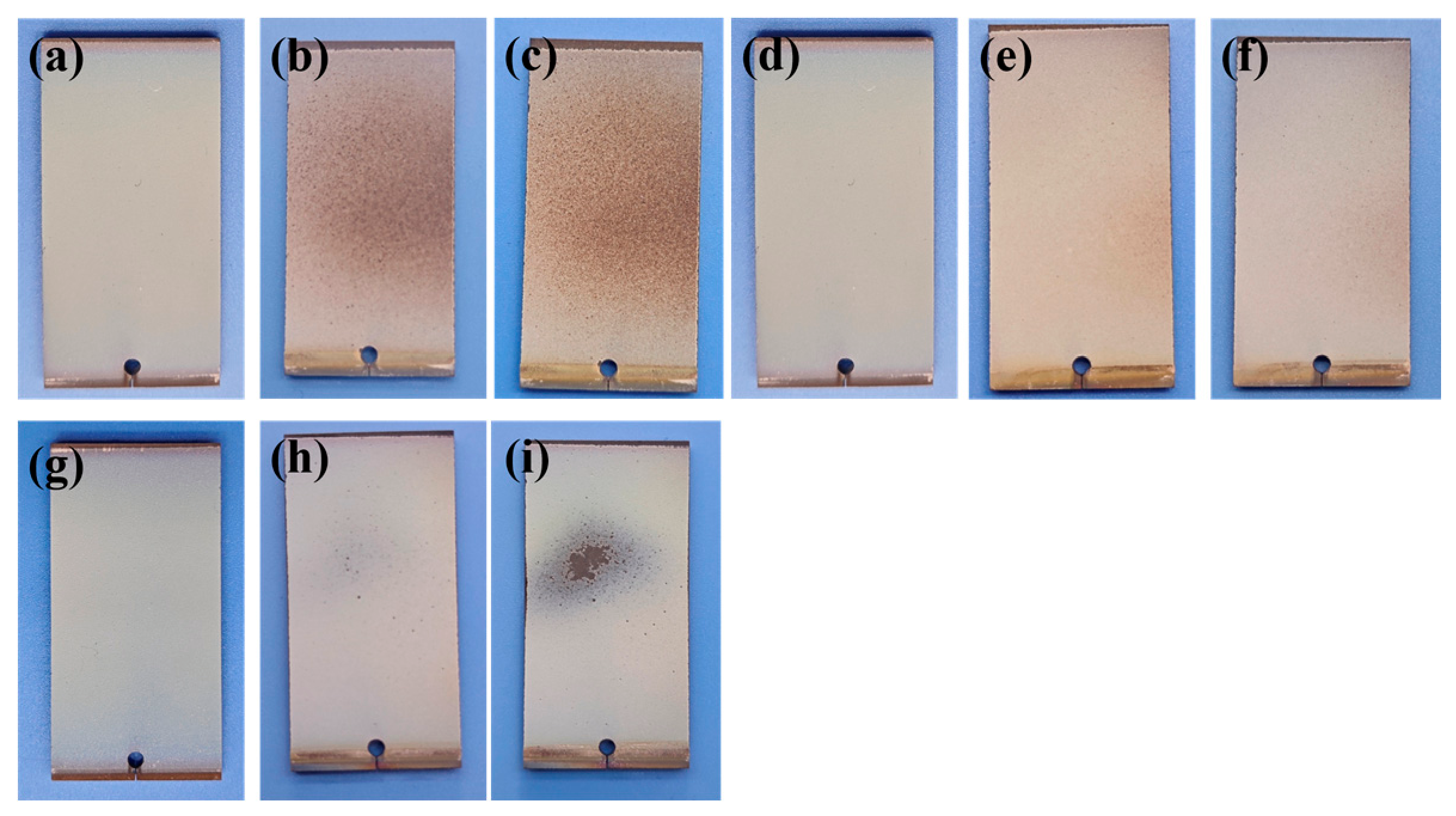 Coatings 16 00852 g002 Coatings 16 00852 g002