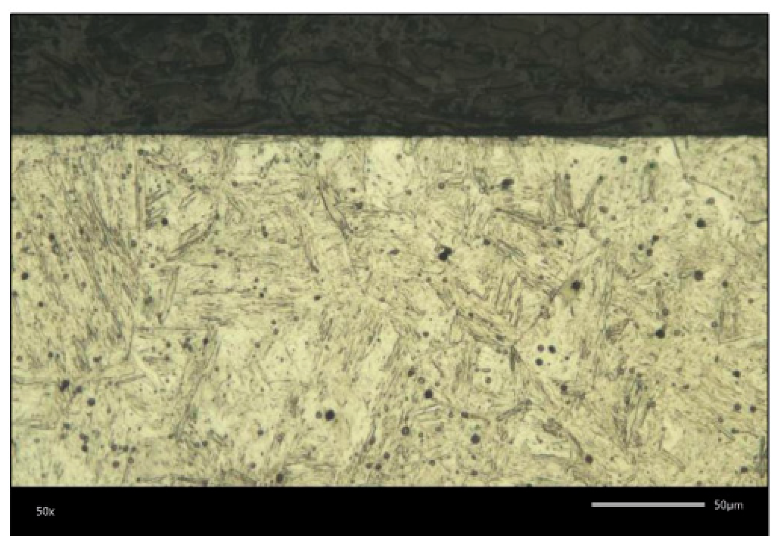 Coatings 16 00901 g013