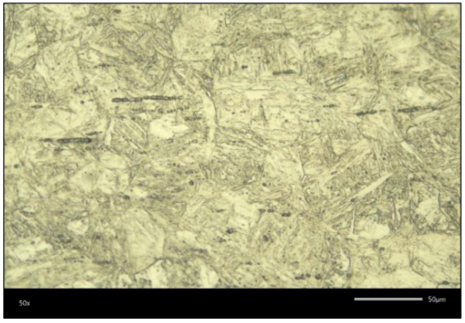 Coatings 16 00901 g016