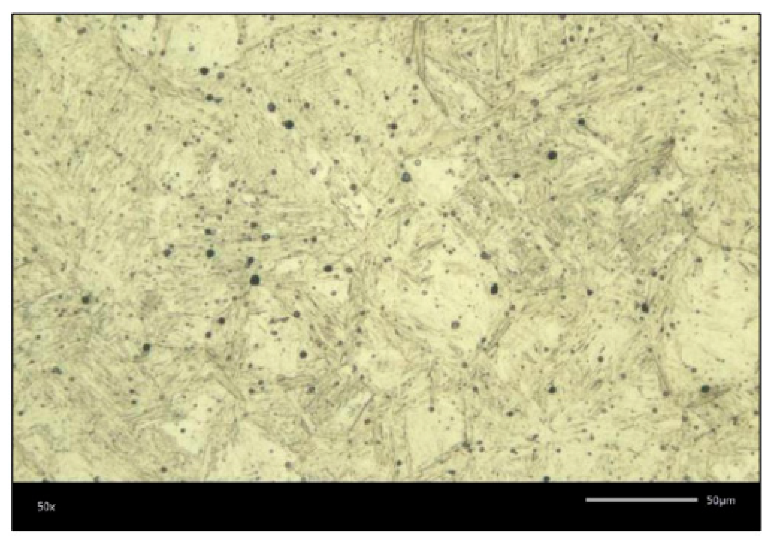 Coatings 16 00901 g018