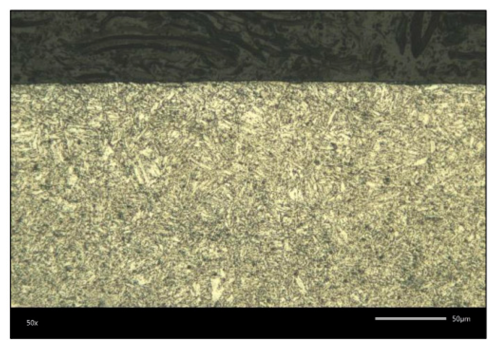 Coatings 16 00901 g022