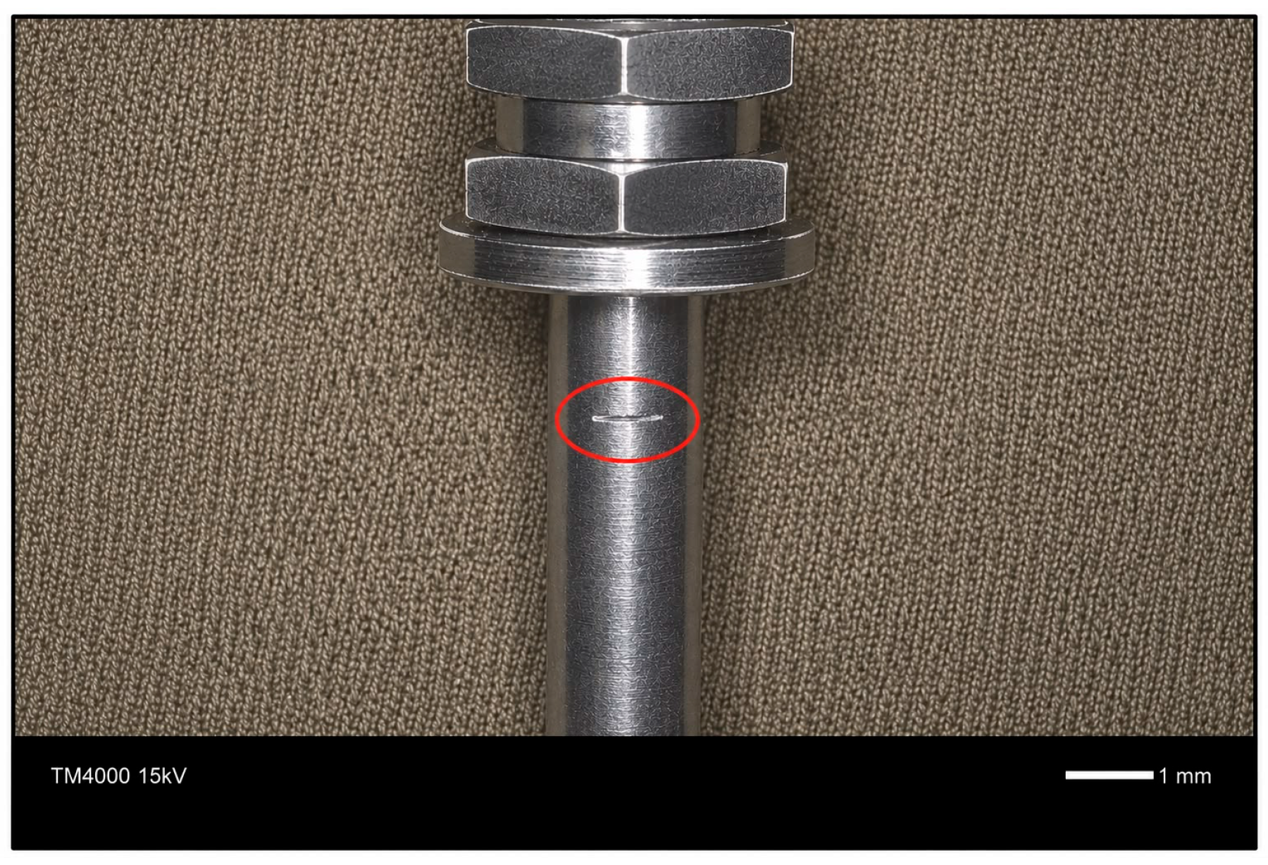 Coatings 16 00901 g052