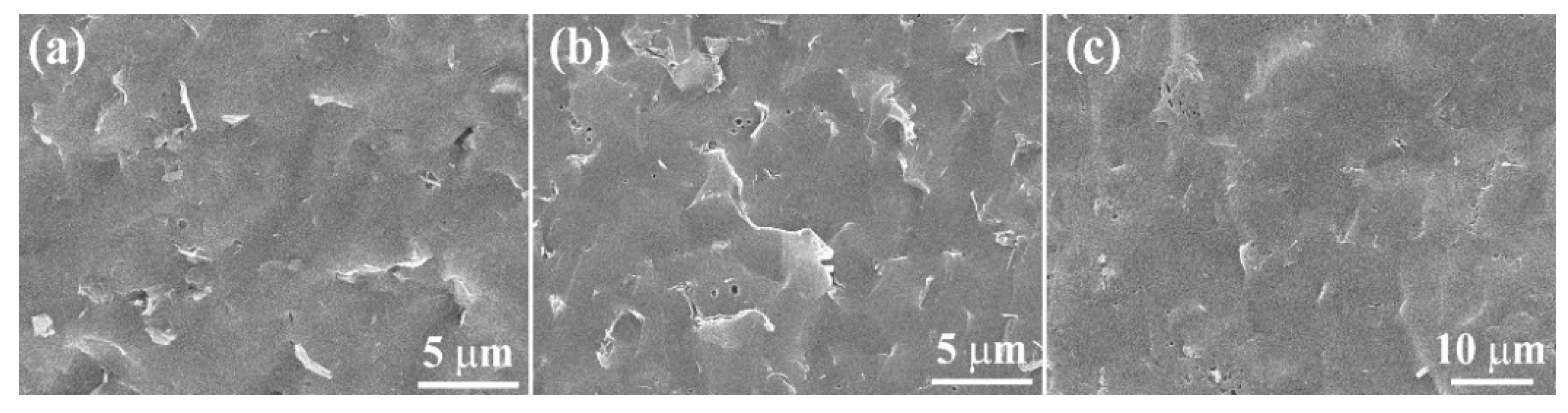 Coatings 16 01108 g007