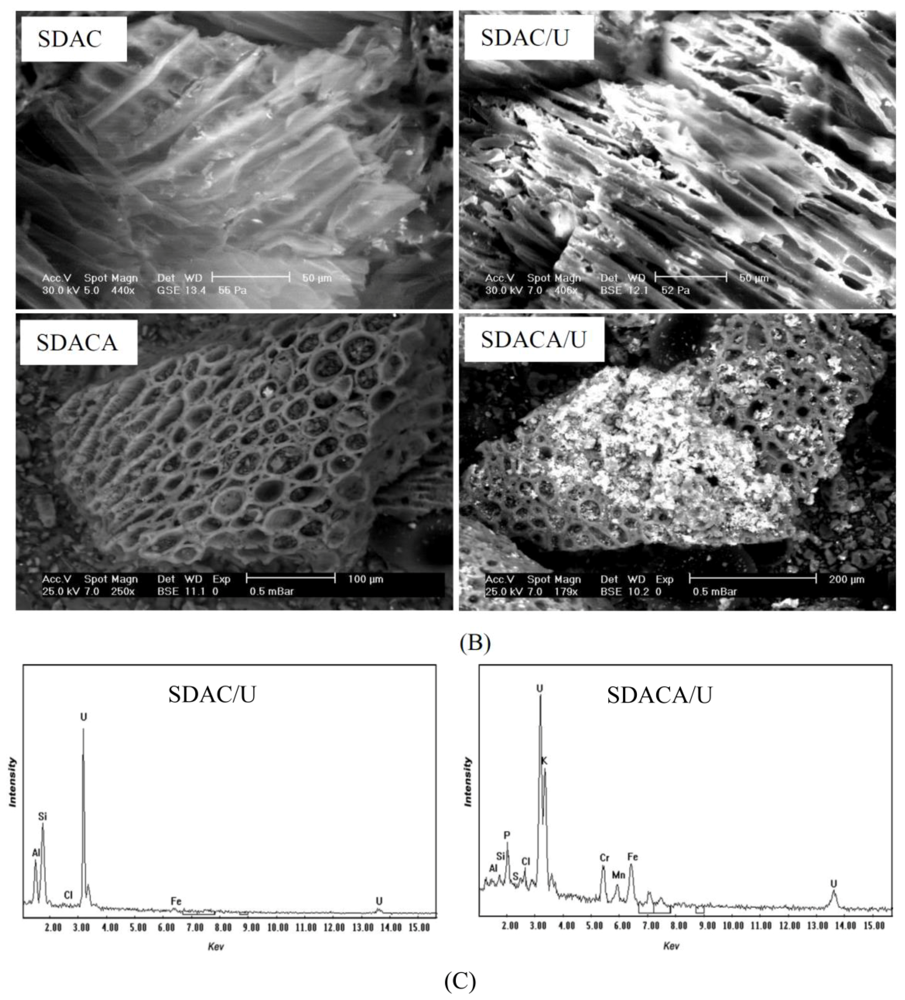Colloids 01 00002 g001b