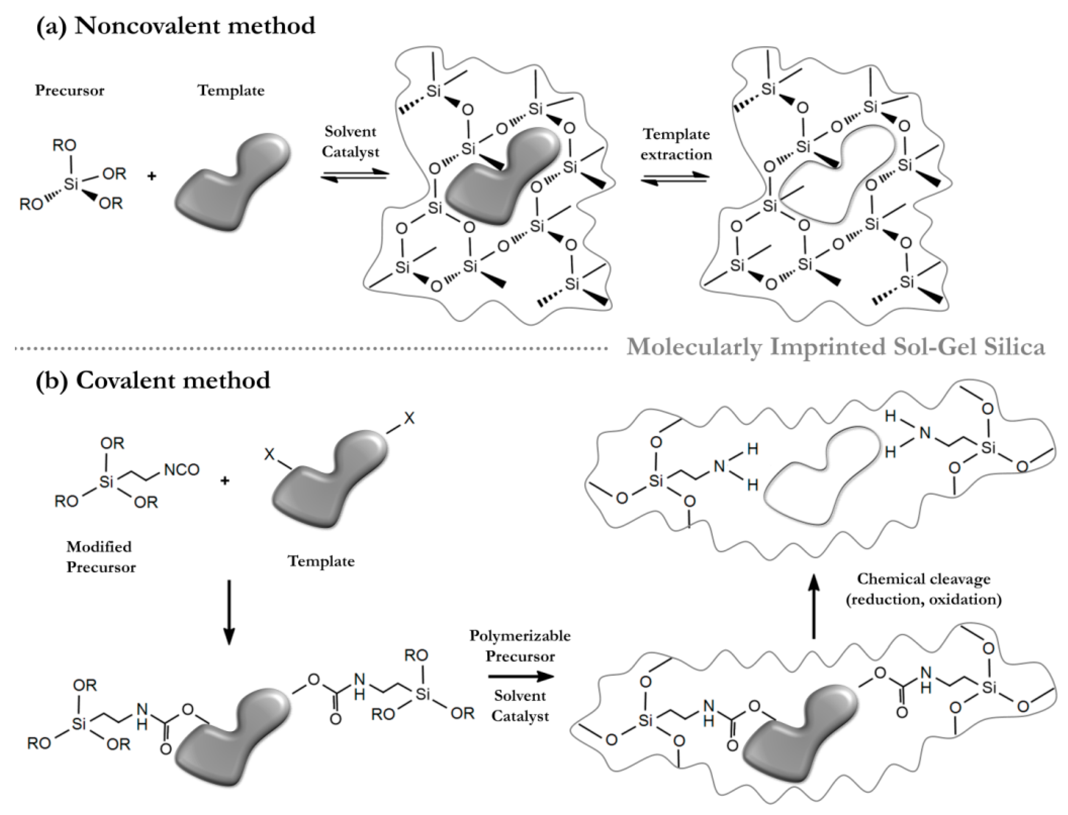 Colloids 01 00005 g002