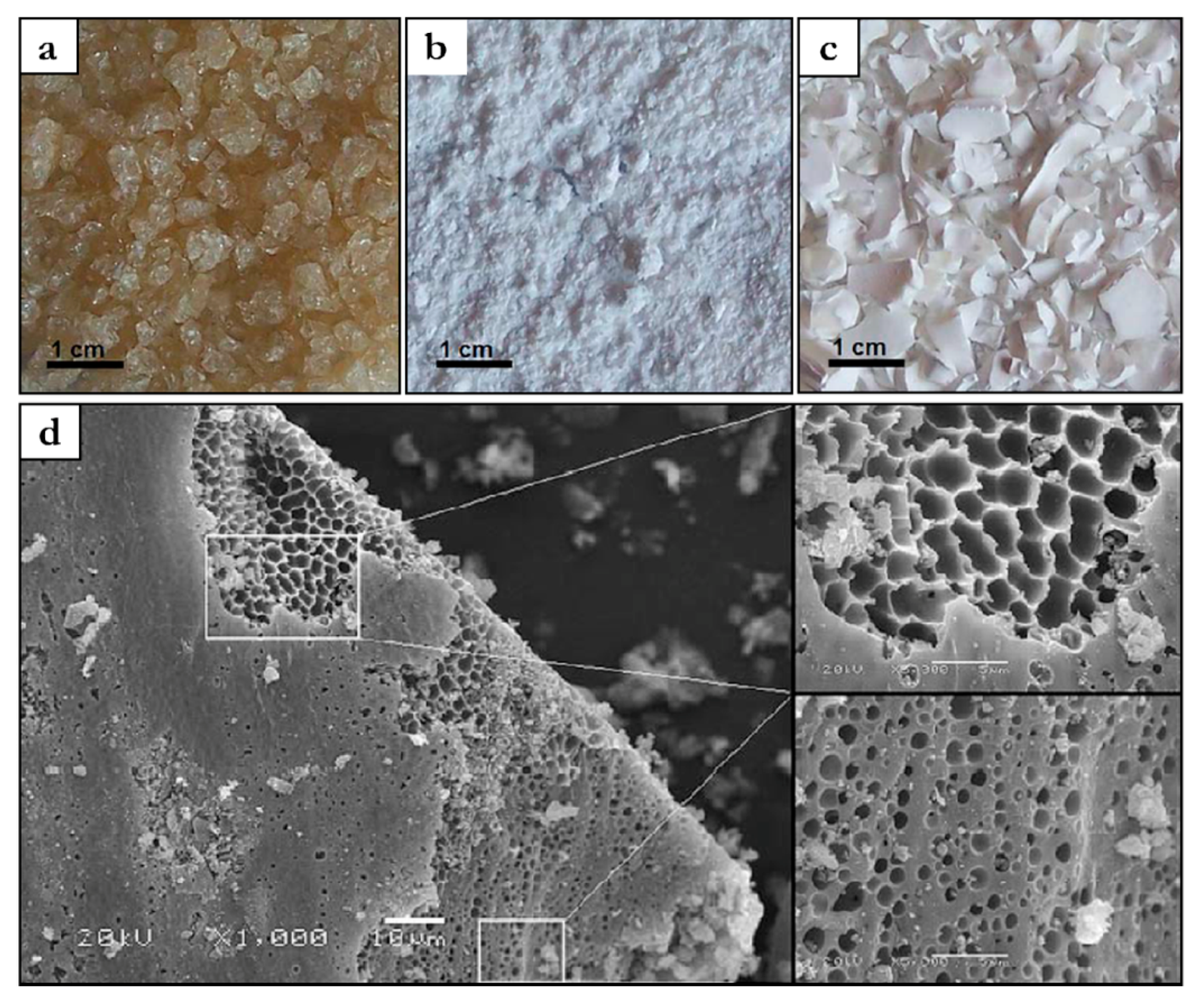 Colloids 01 00005 g005