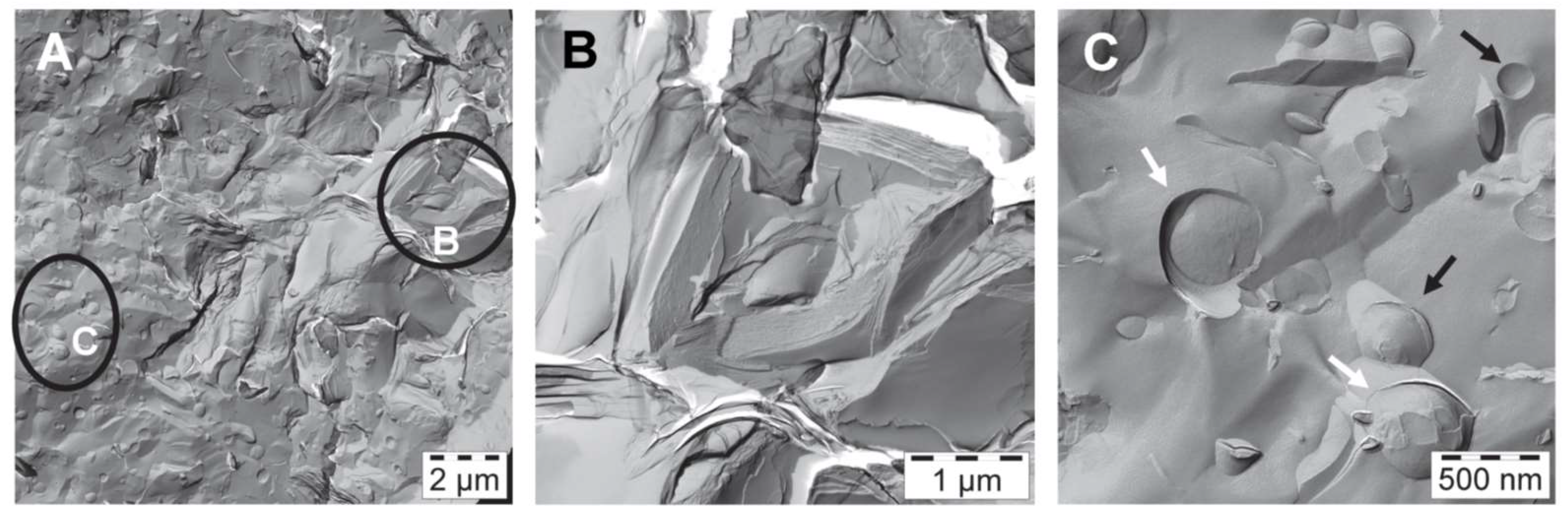 Colloids 02 00003 g004 550