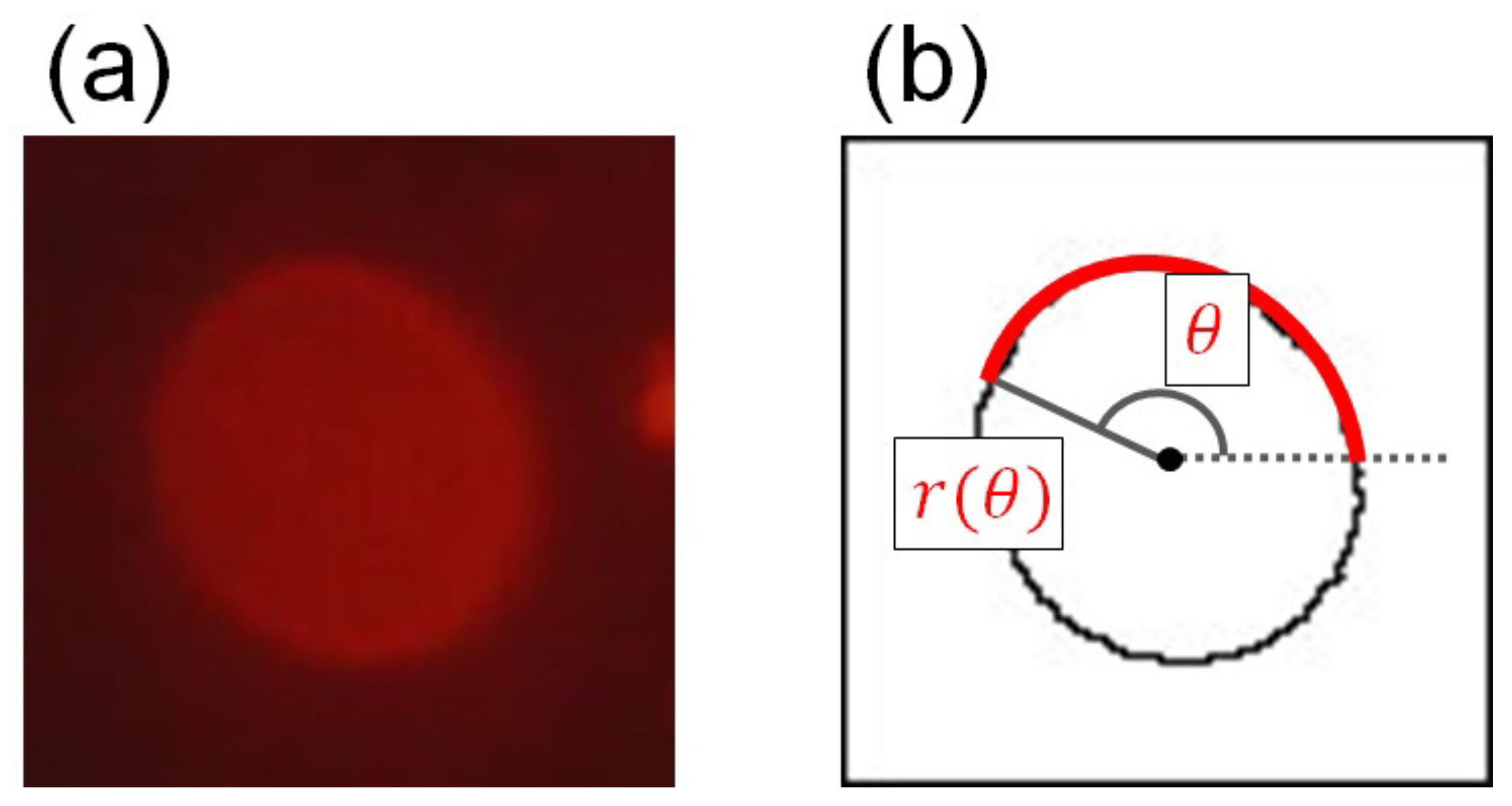 Colloids 02 00006 g001