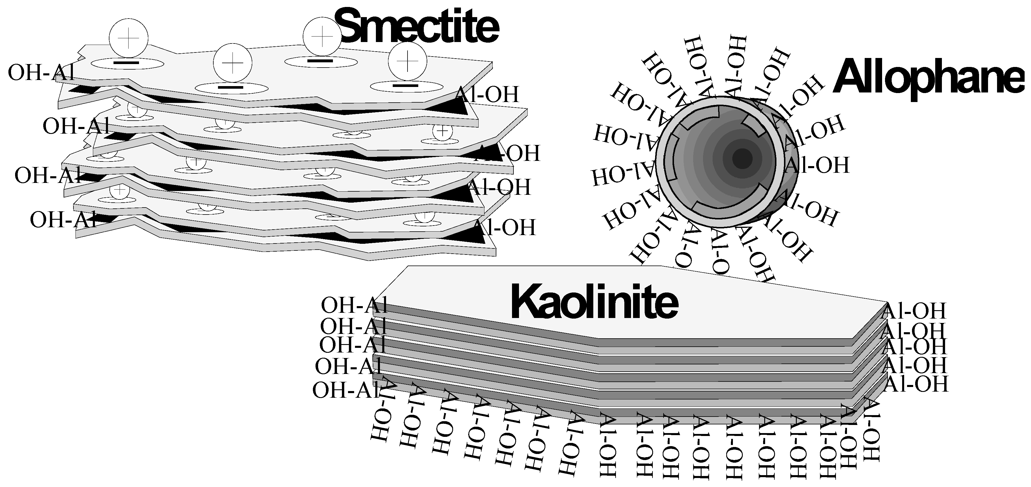 Colloids 02 00012 g001