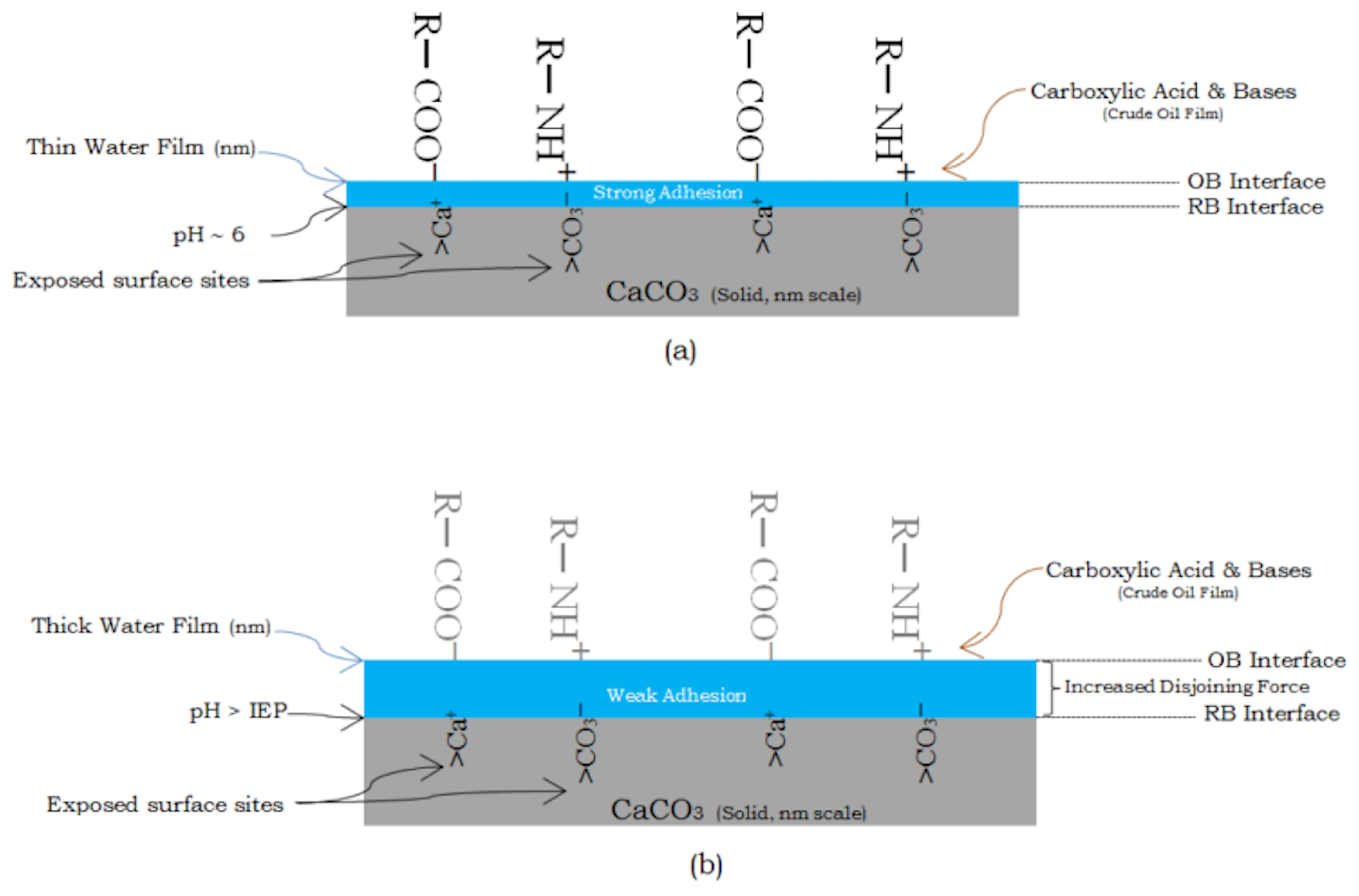 Colloids 02 00020 g010