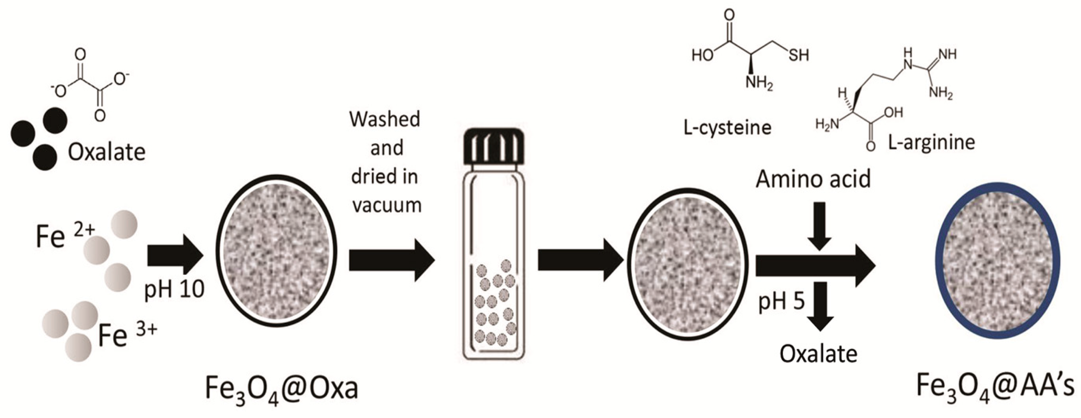 Colloids 02 00029 g001