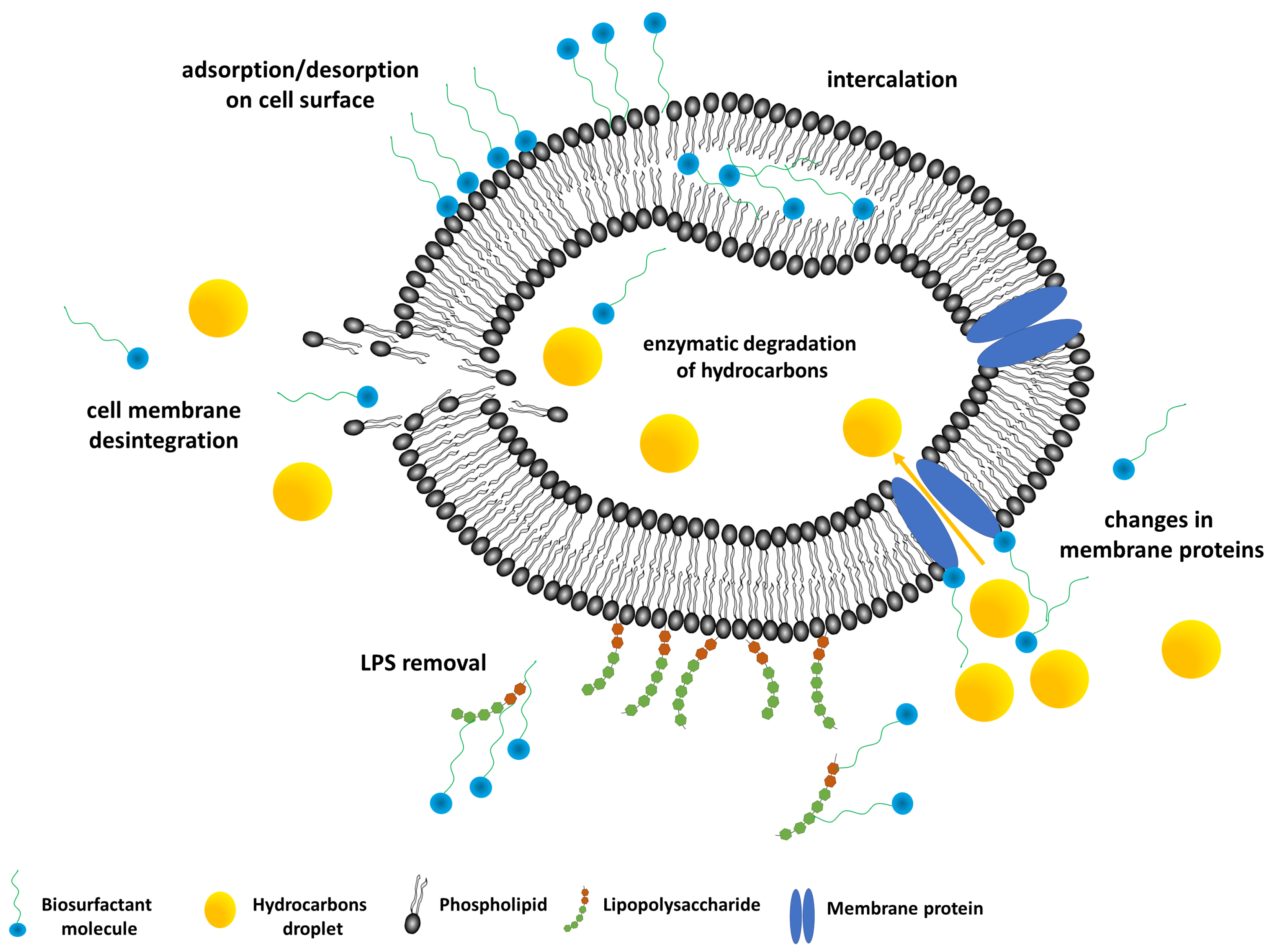 Colloids 02 00035 g003