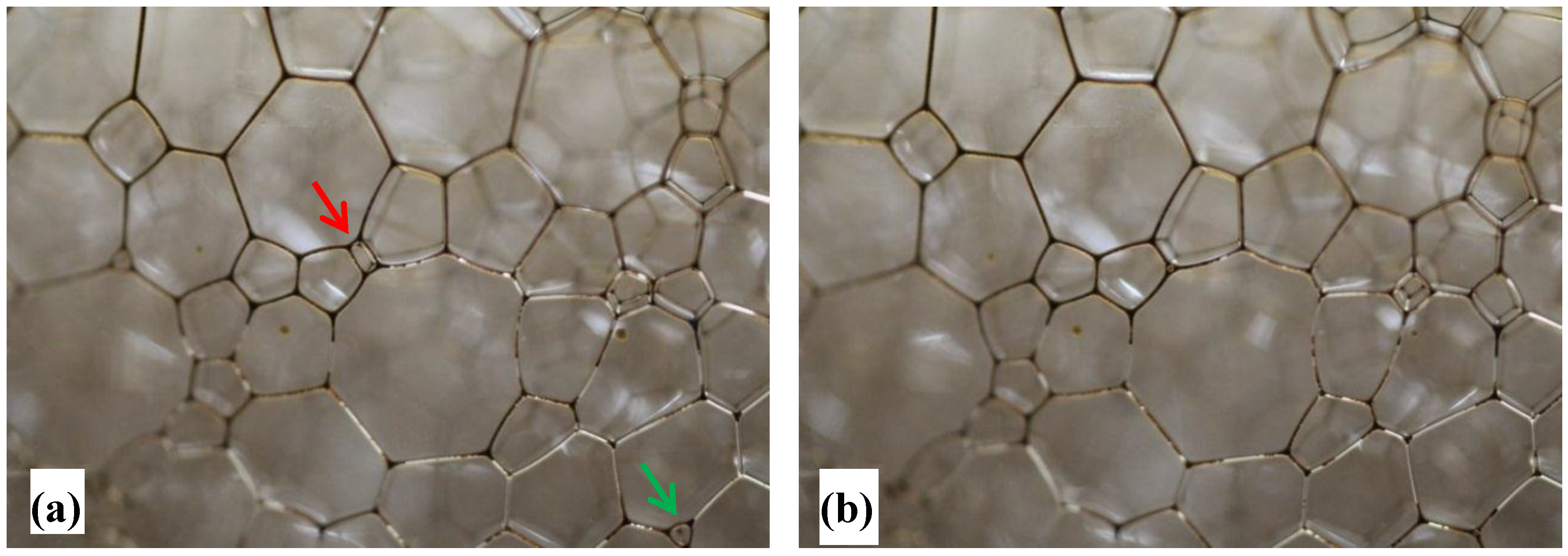 Colloids 02 00038 g005