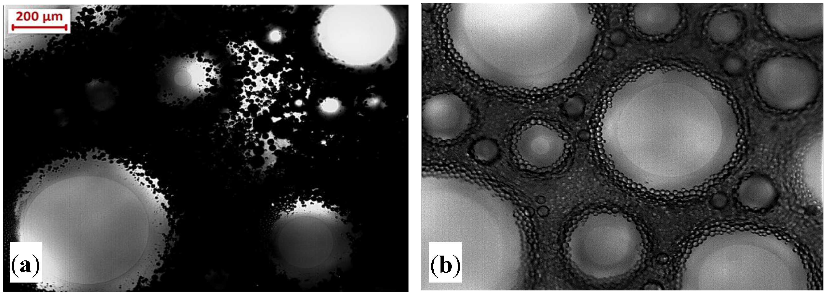Colloids 02 00038 g009