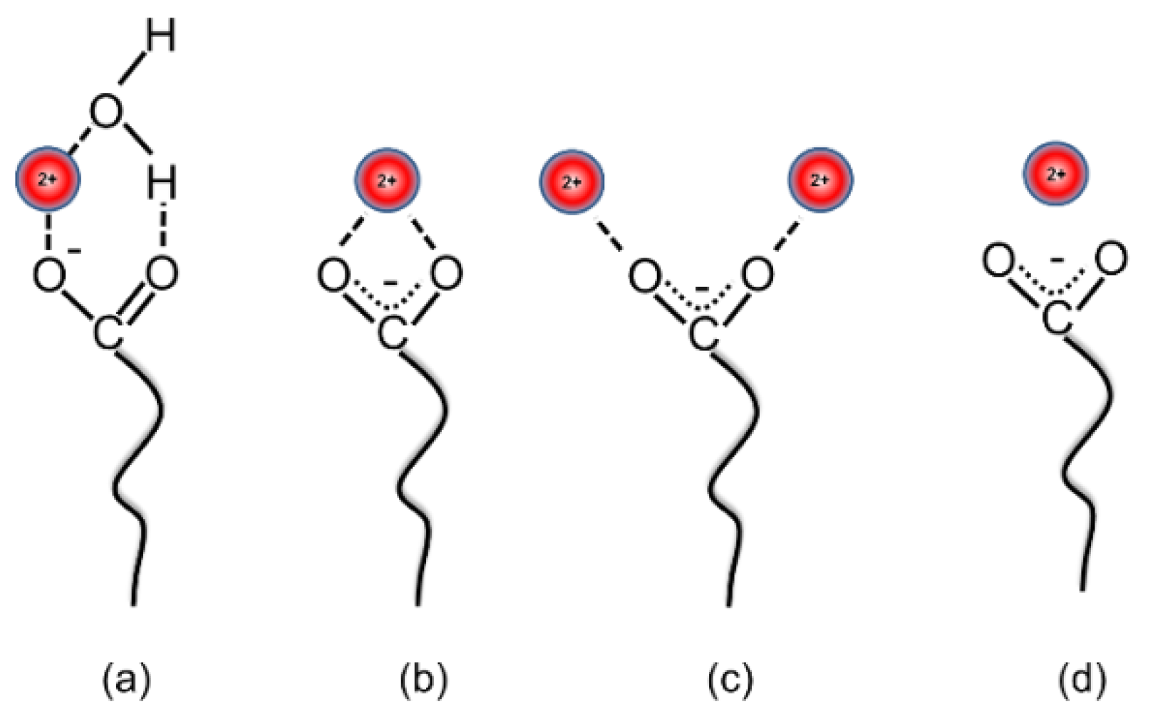 Colloids 02 00040 g006