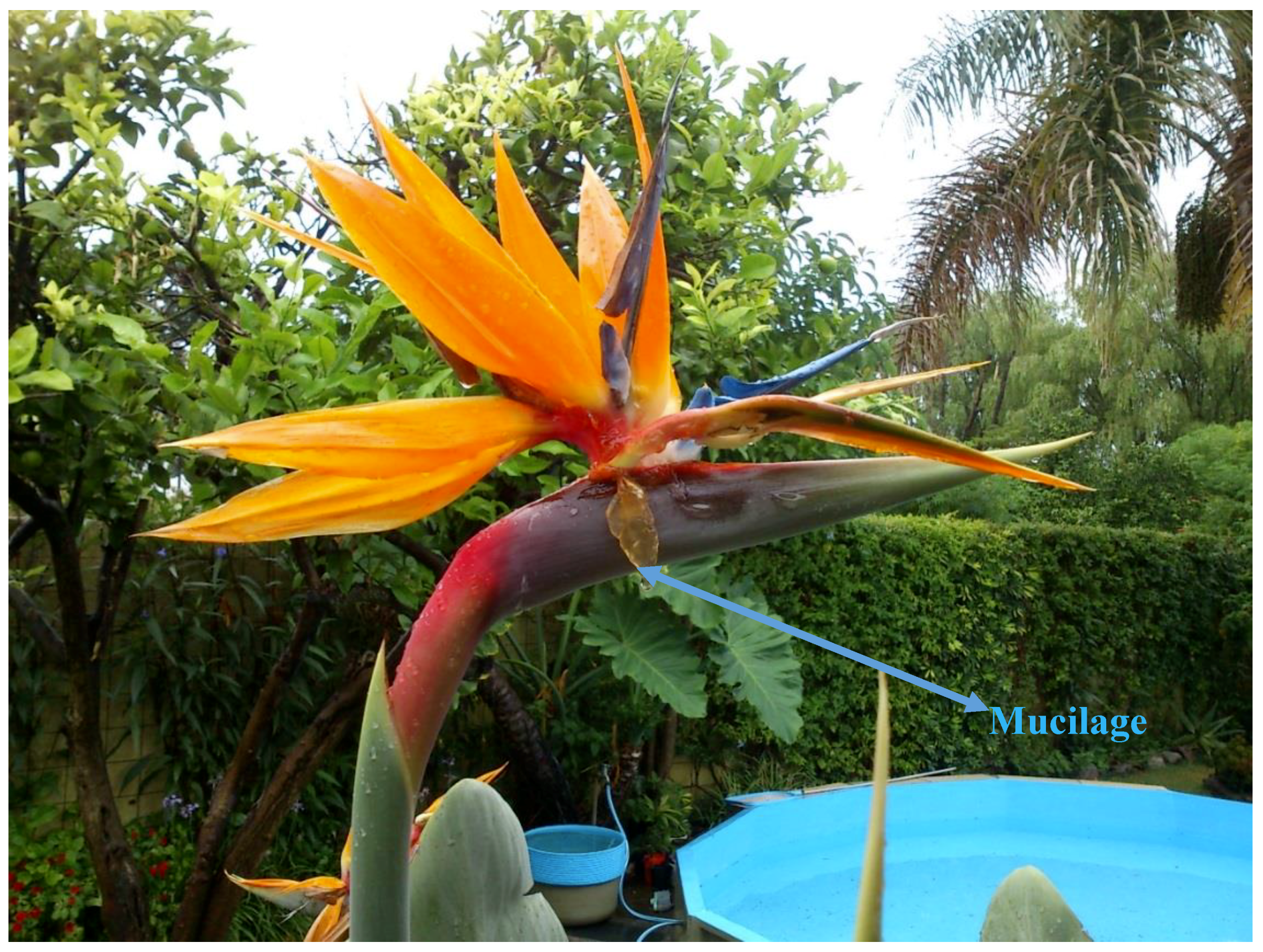 Colloids 02 00045 g001 550