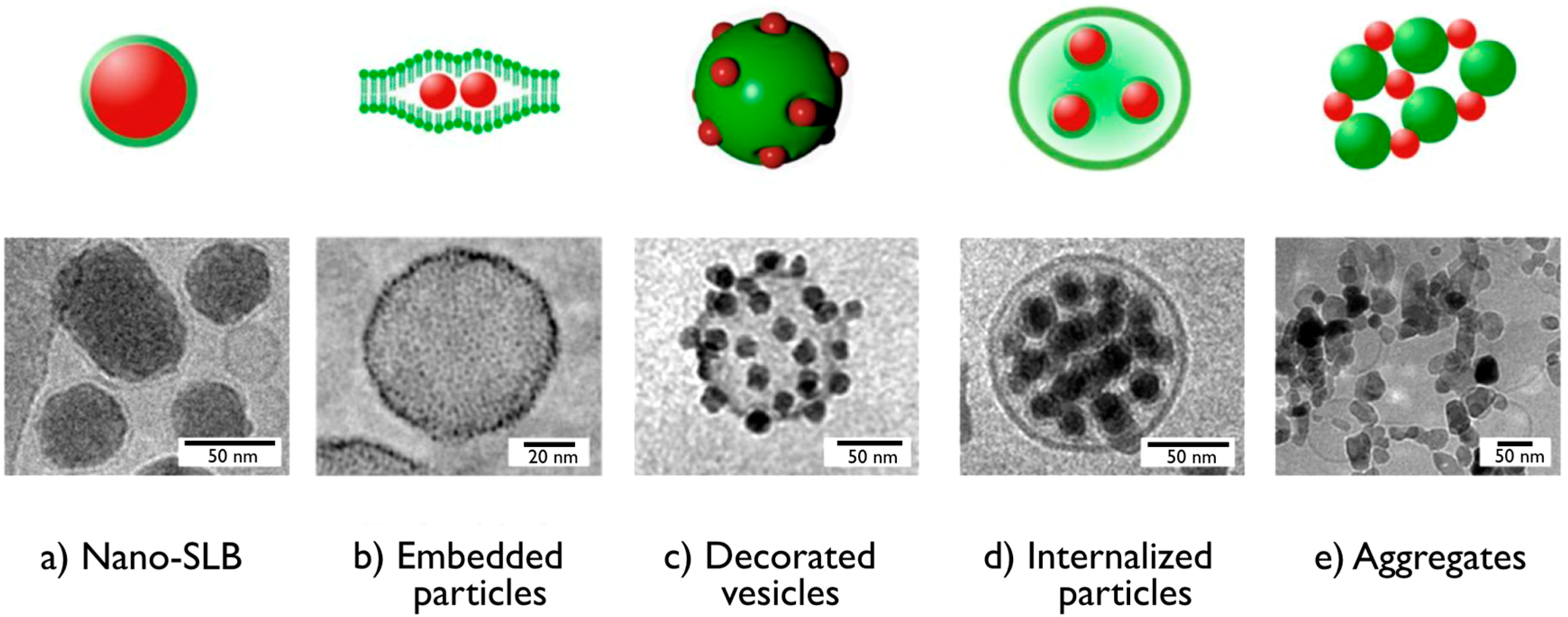 Colloids 02 00050 g001