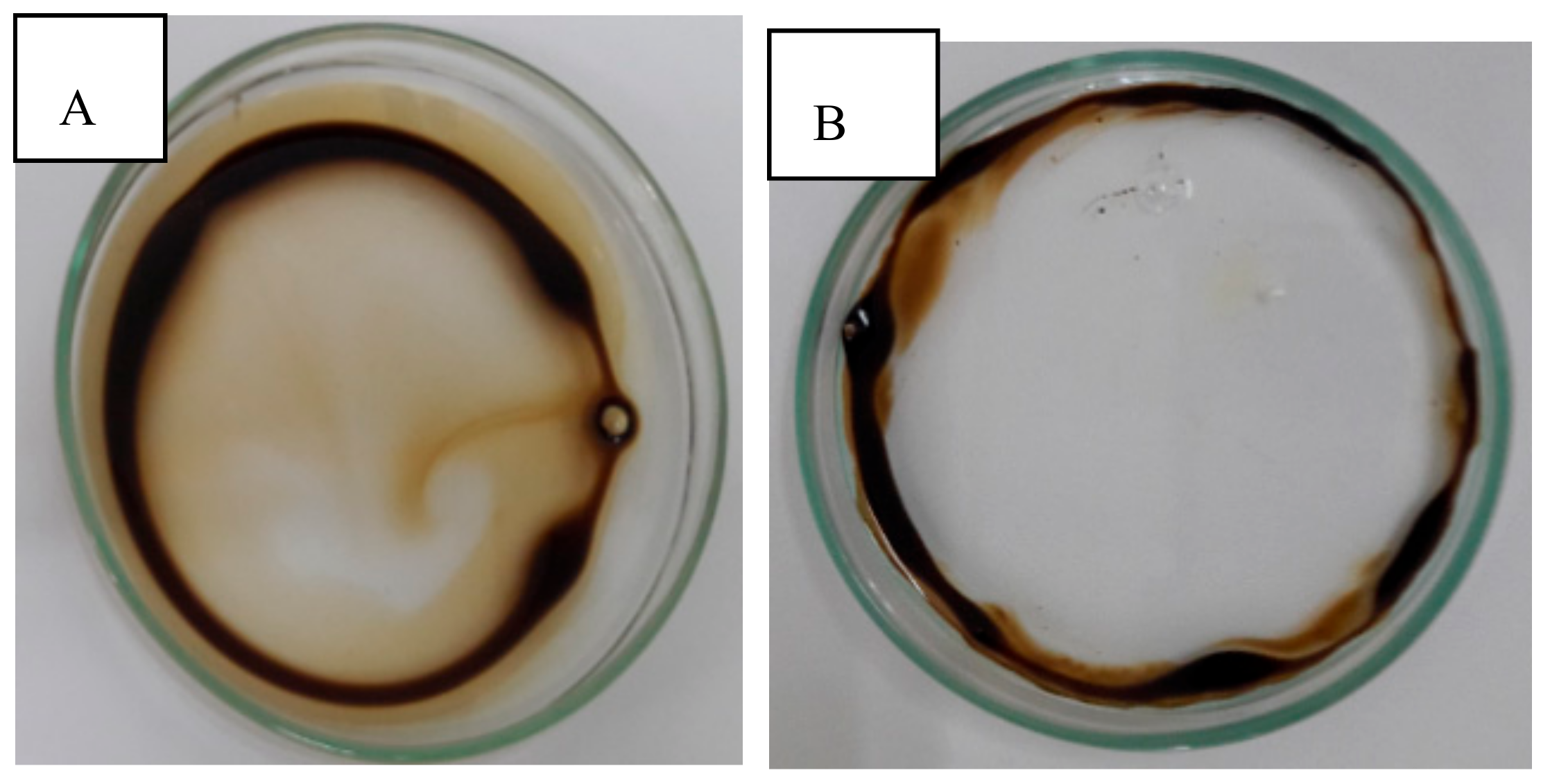 Colloids 02 00058 g005 Colloids 02 00058 g005