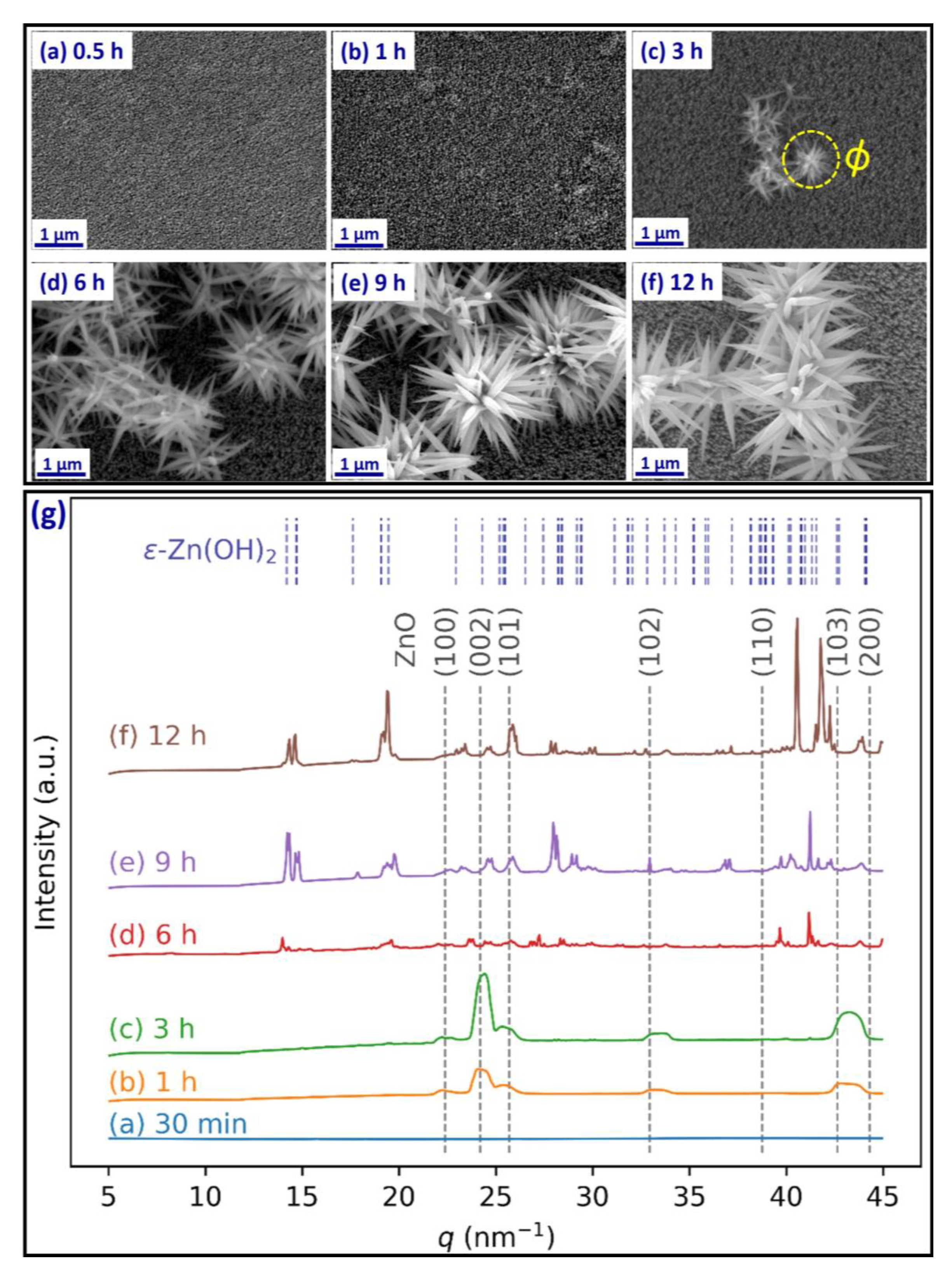 Colloids 02 00074 g002