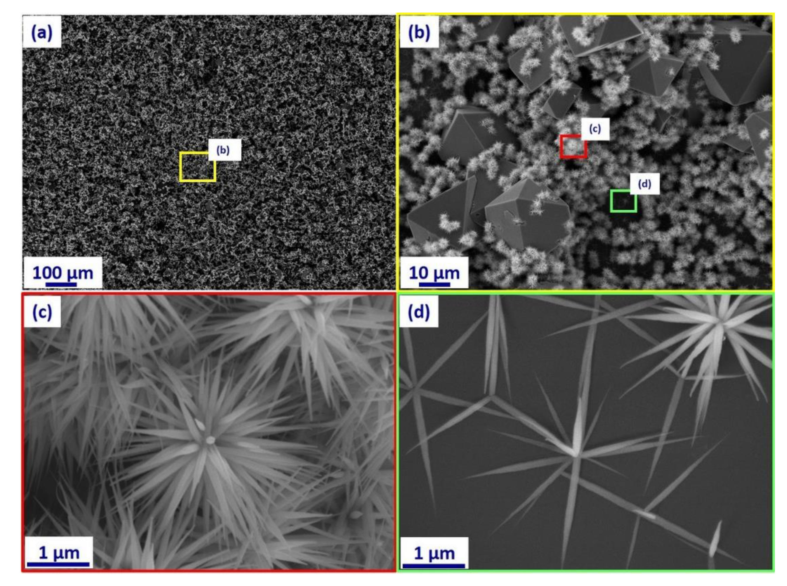 Colloids 02 00074 g003