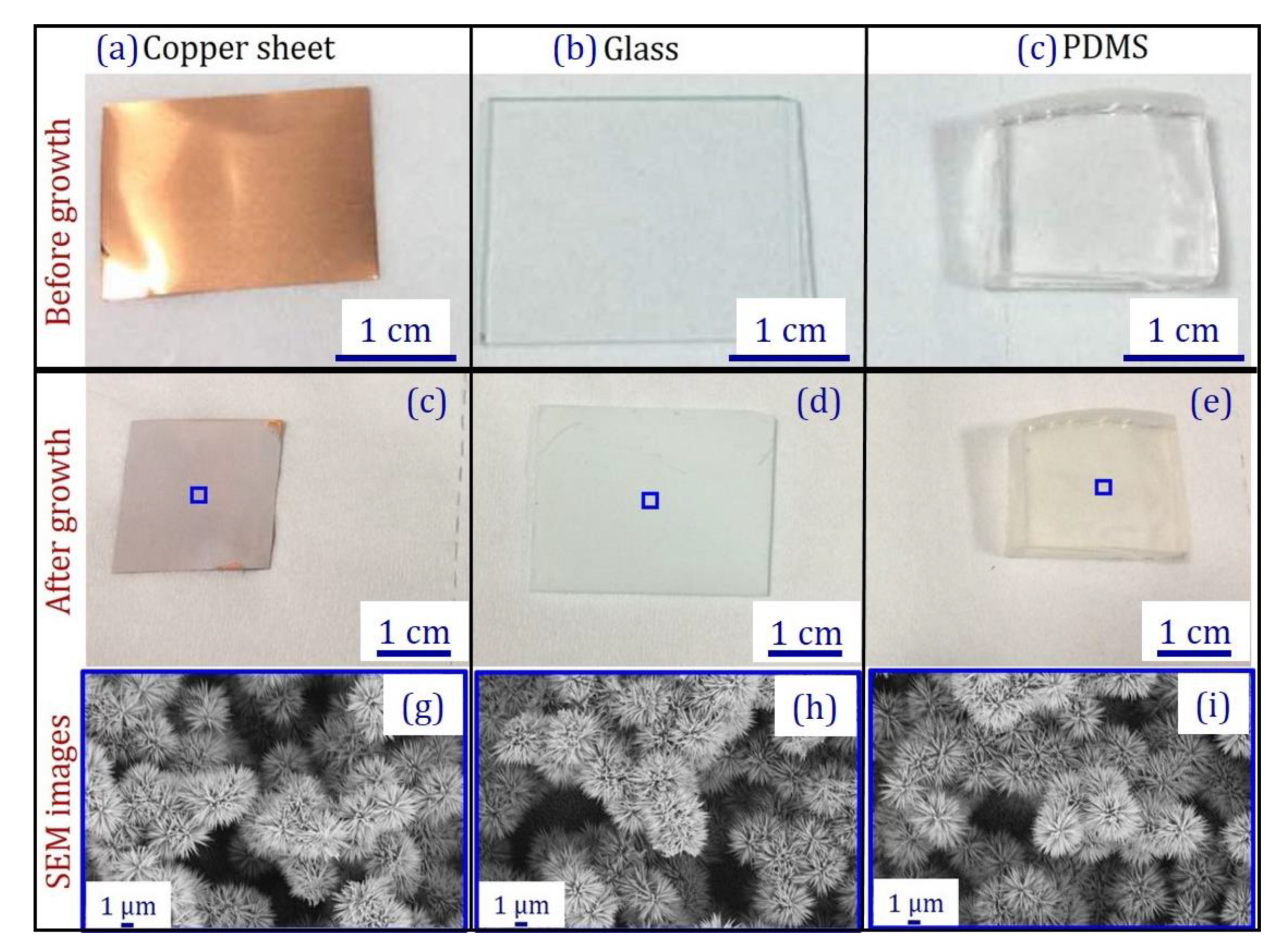 Colloids 02 00074 g004