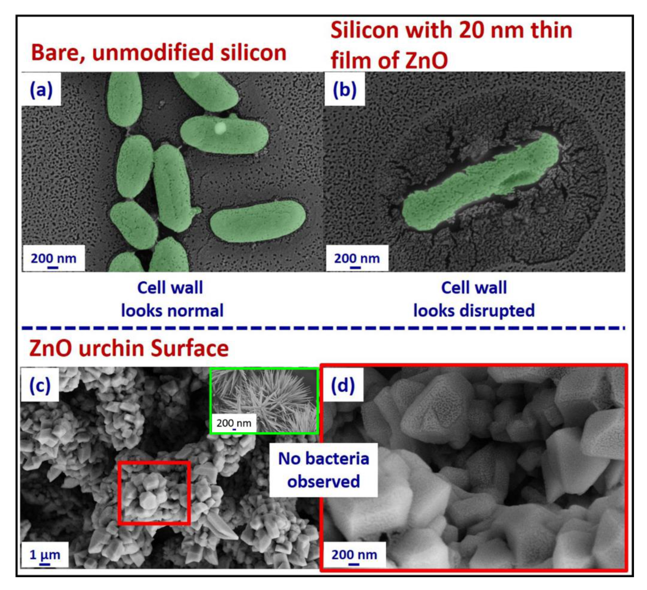 Colloids 02 00074 g006