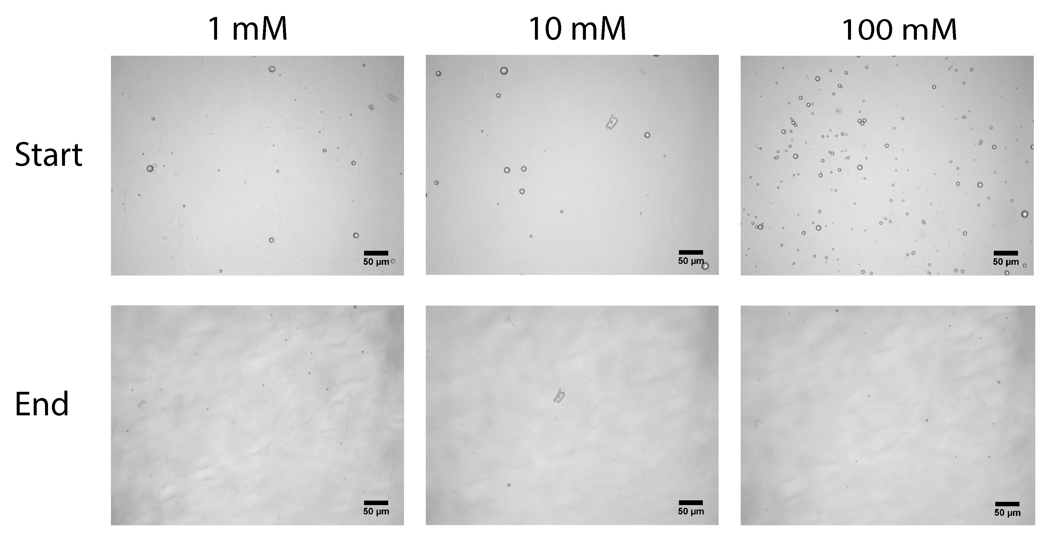Colloids 03 00009 g005 550