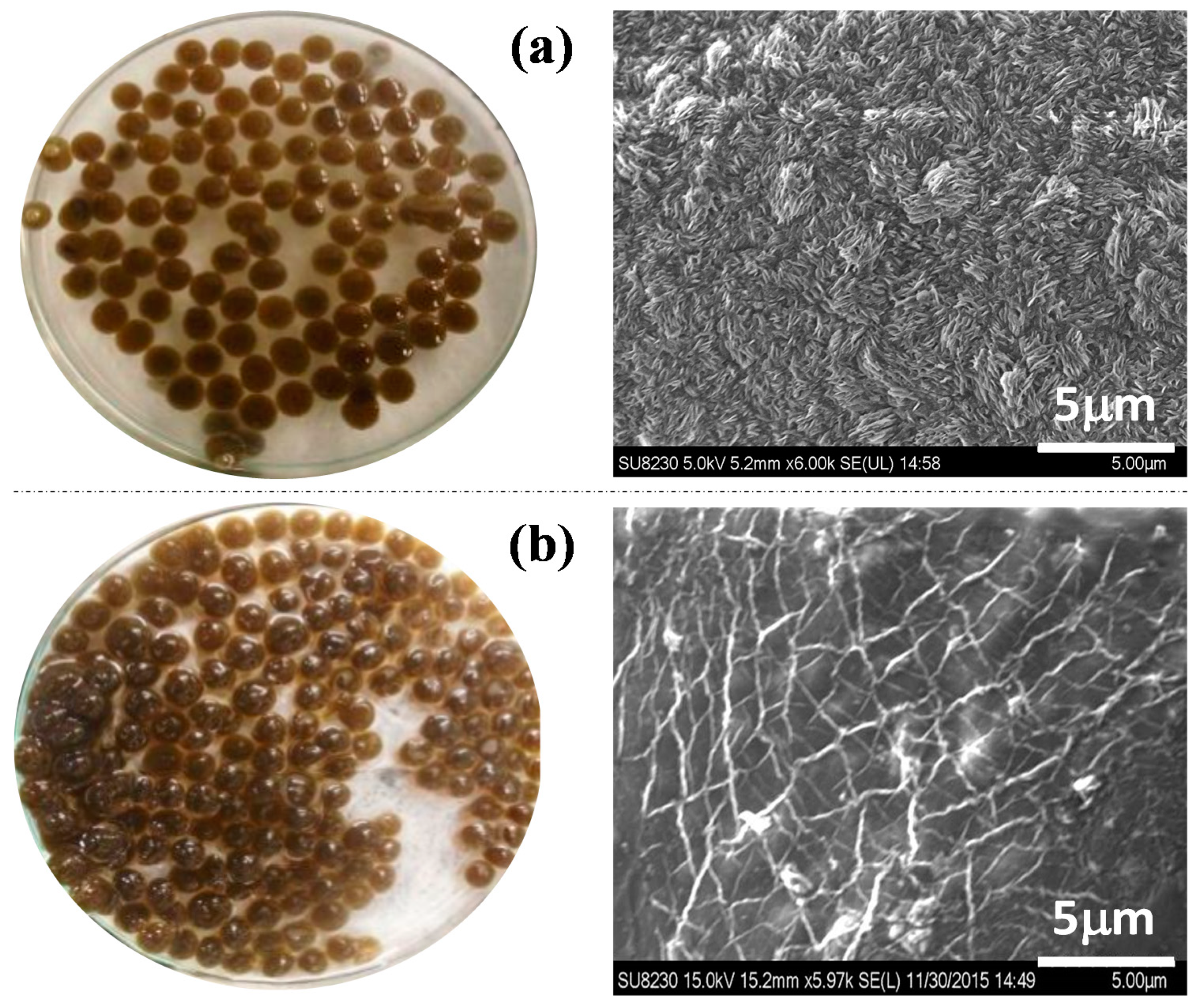 Colloids 03 00017 g005