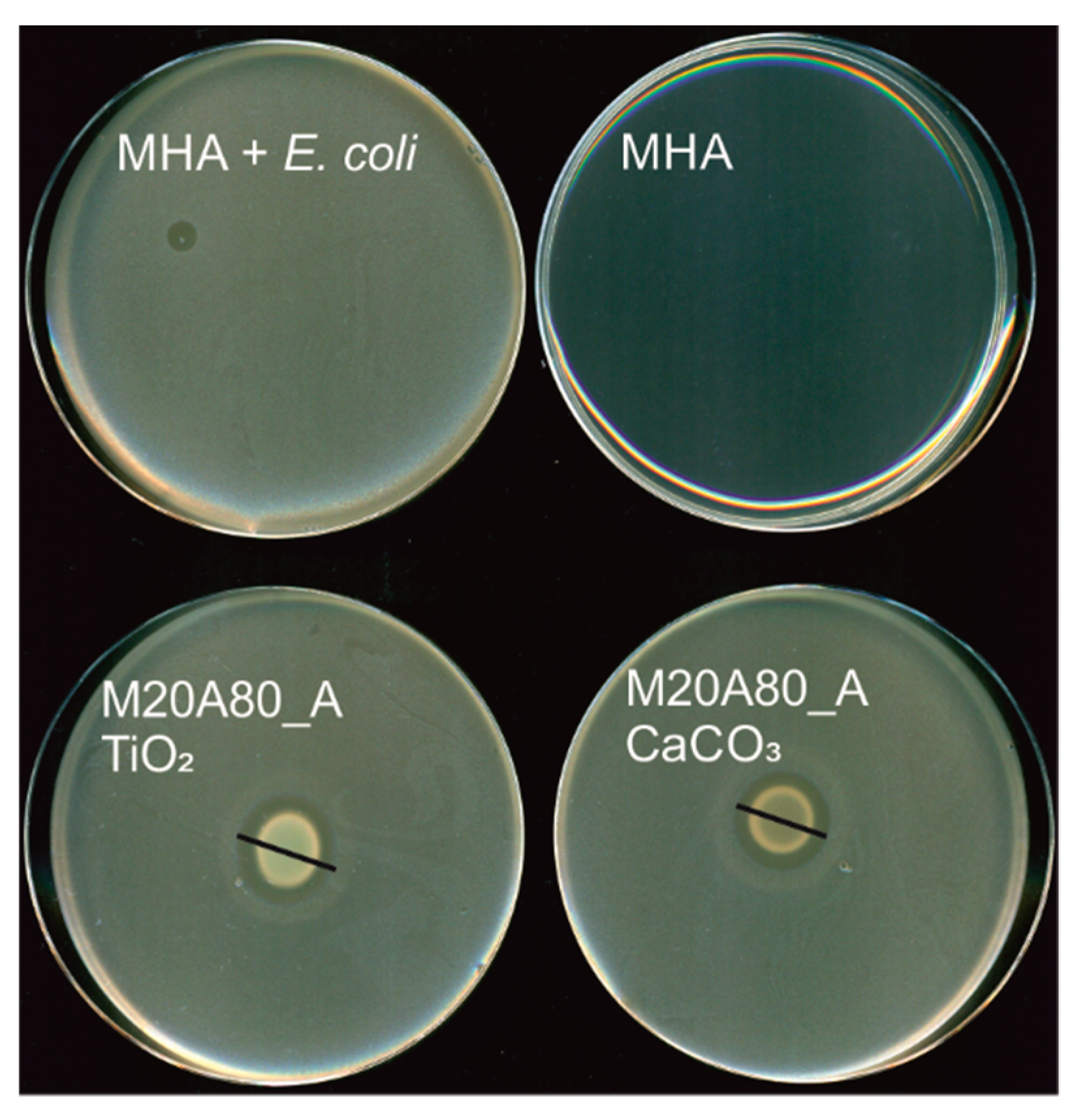 Colloids 03 00020 g003