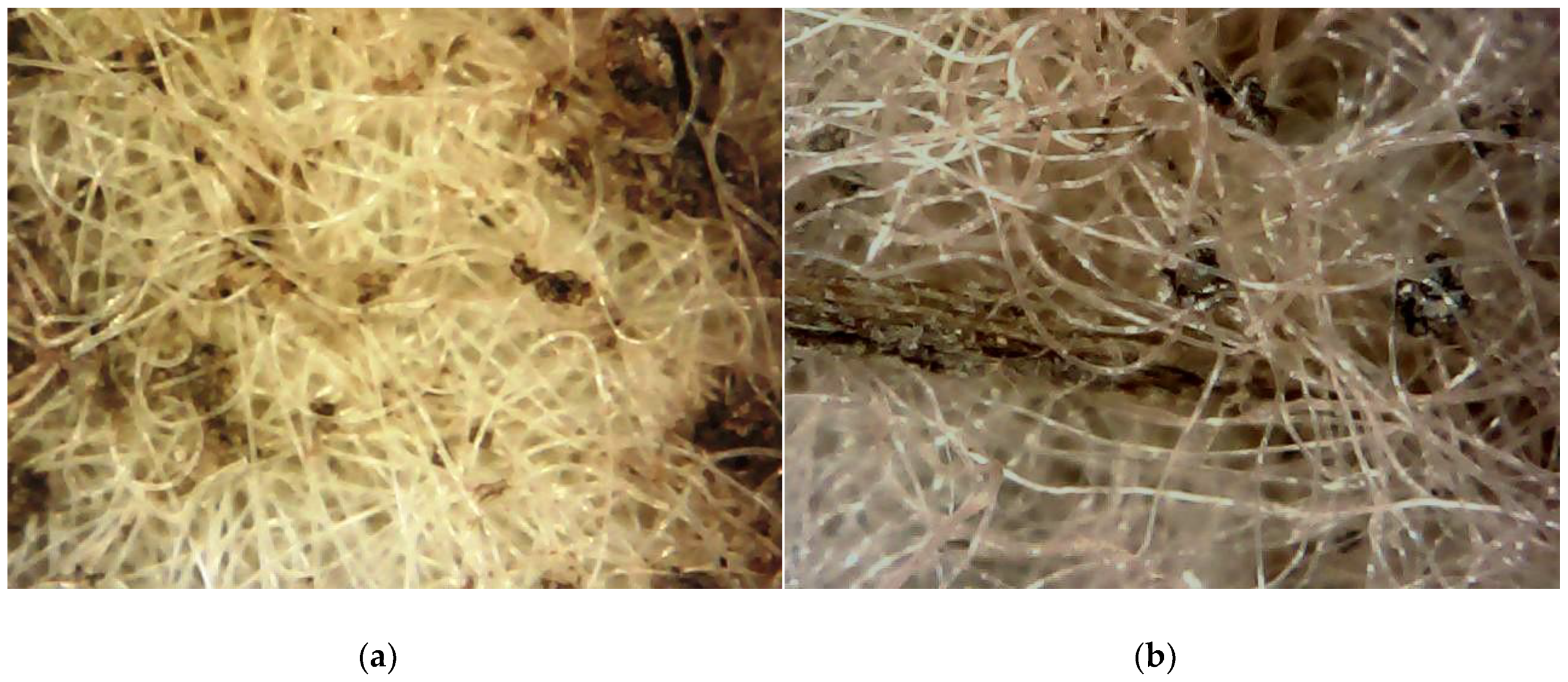 Colloids 03 00021 g001 550