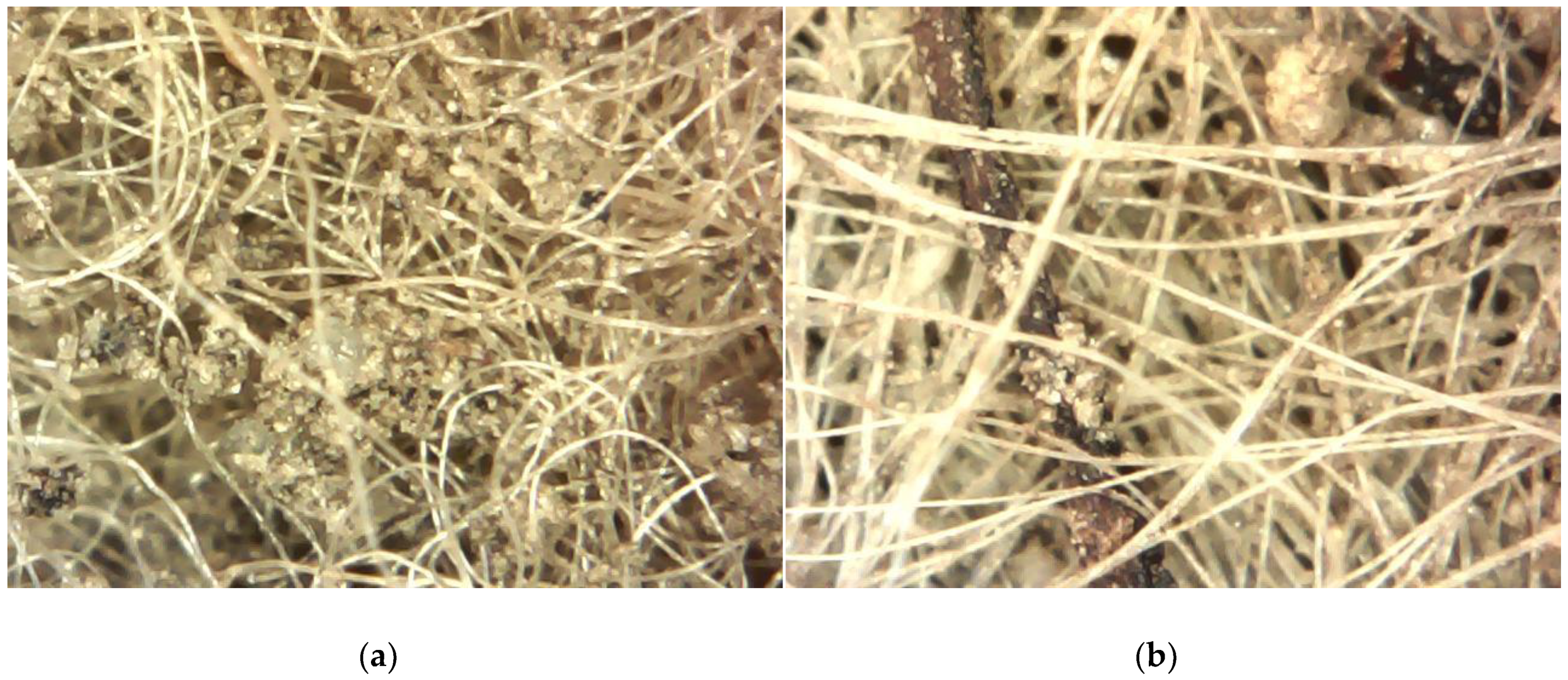 Colloids 03 00021 g002 550