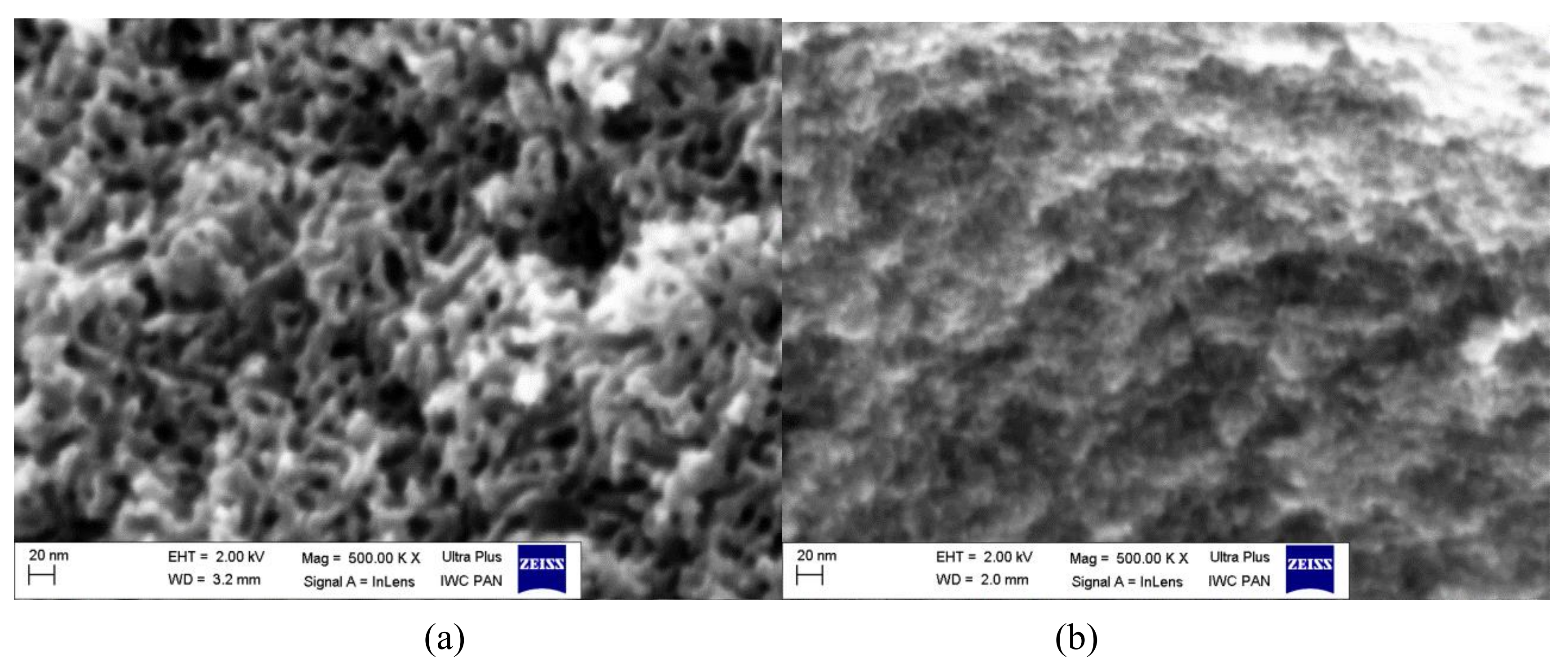 Colloids 03 00030 g003