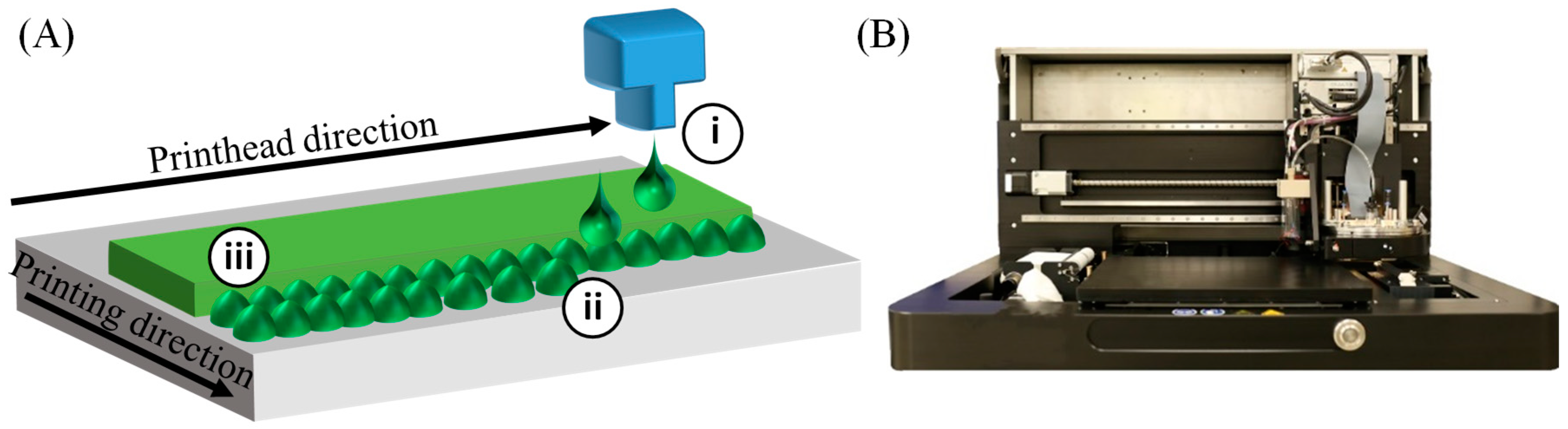 Colloids 03 00032 g003