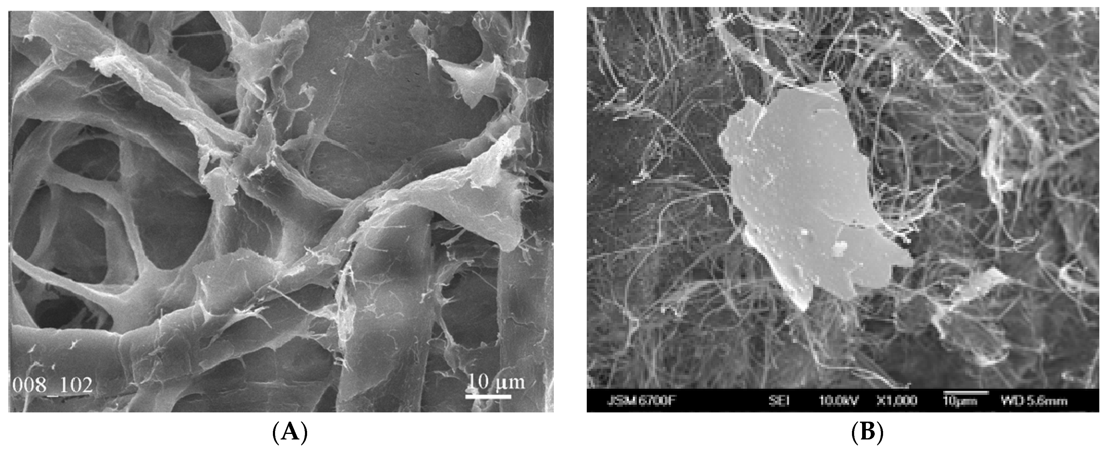 Colloids 03 00035 g001