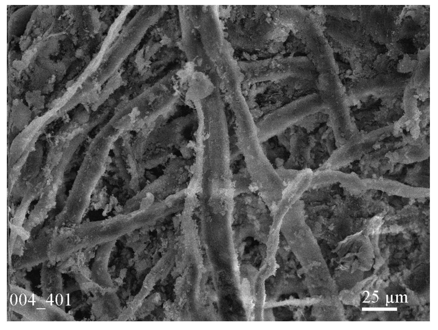 Colloids 03 00035 g005
