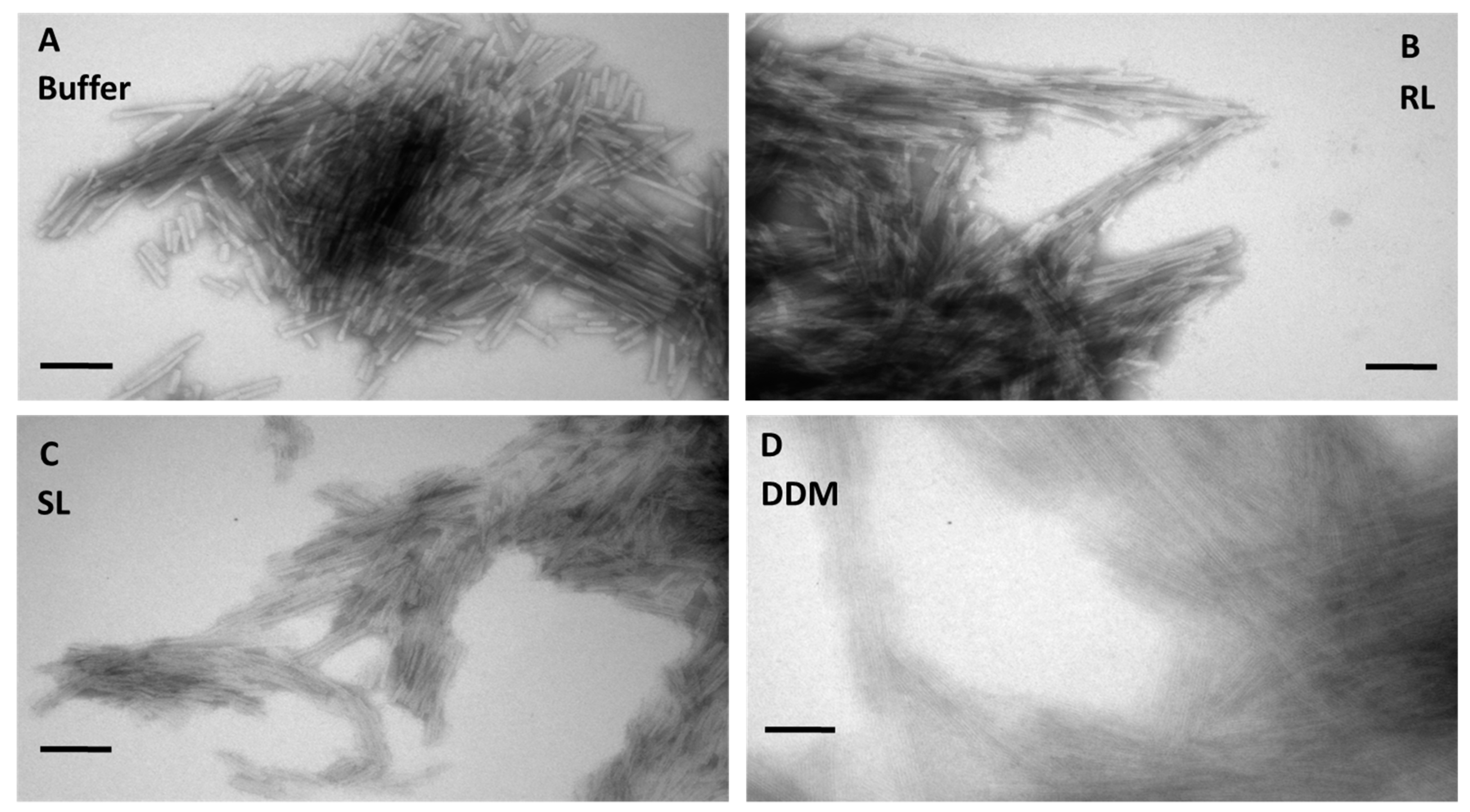 Colloids 03 00042 g003 Colloids 03 00042 g003