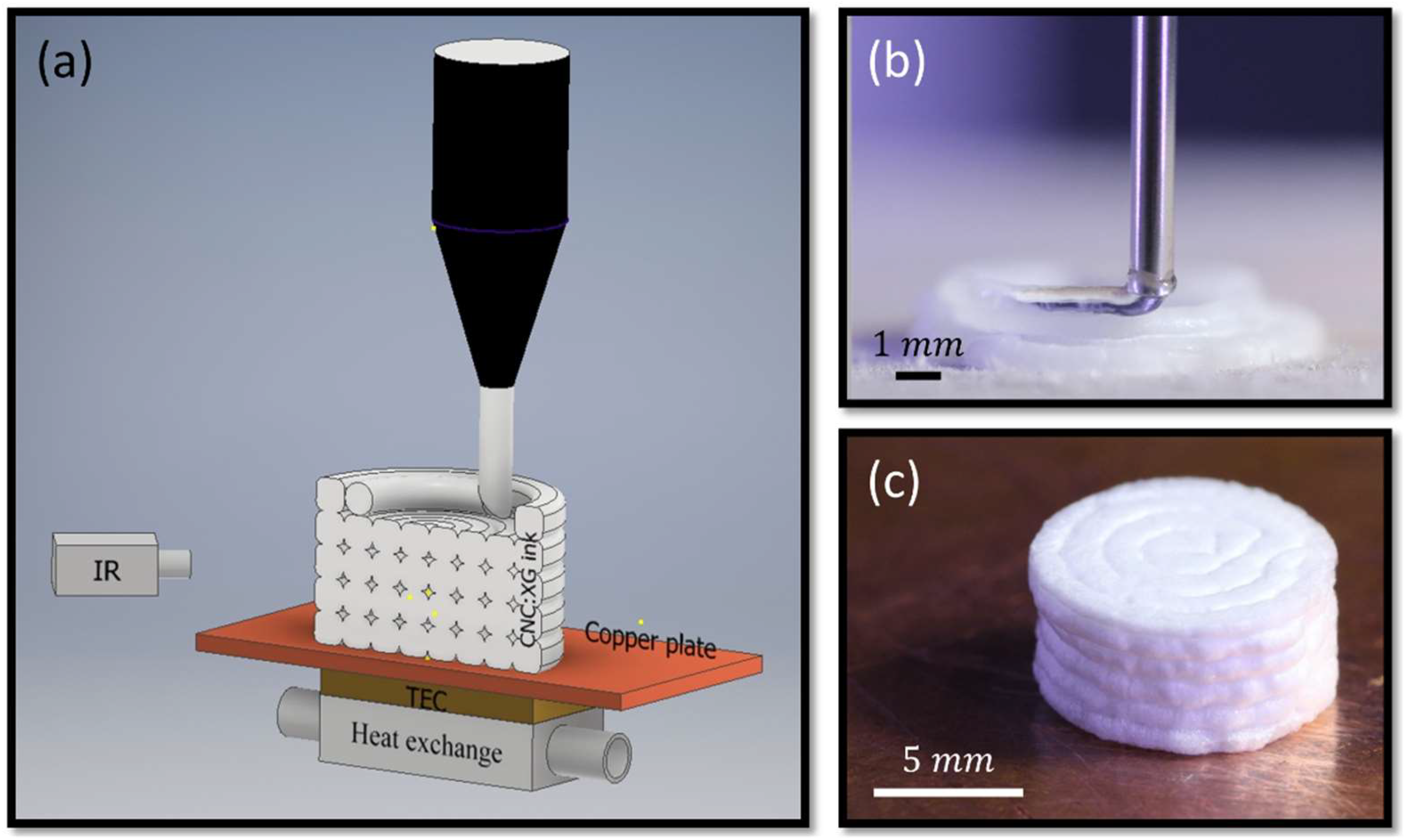 Colloids 03 00046 g001