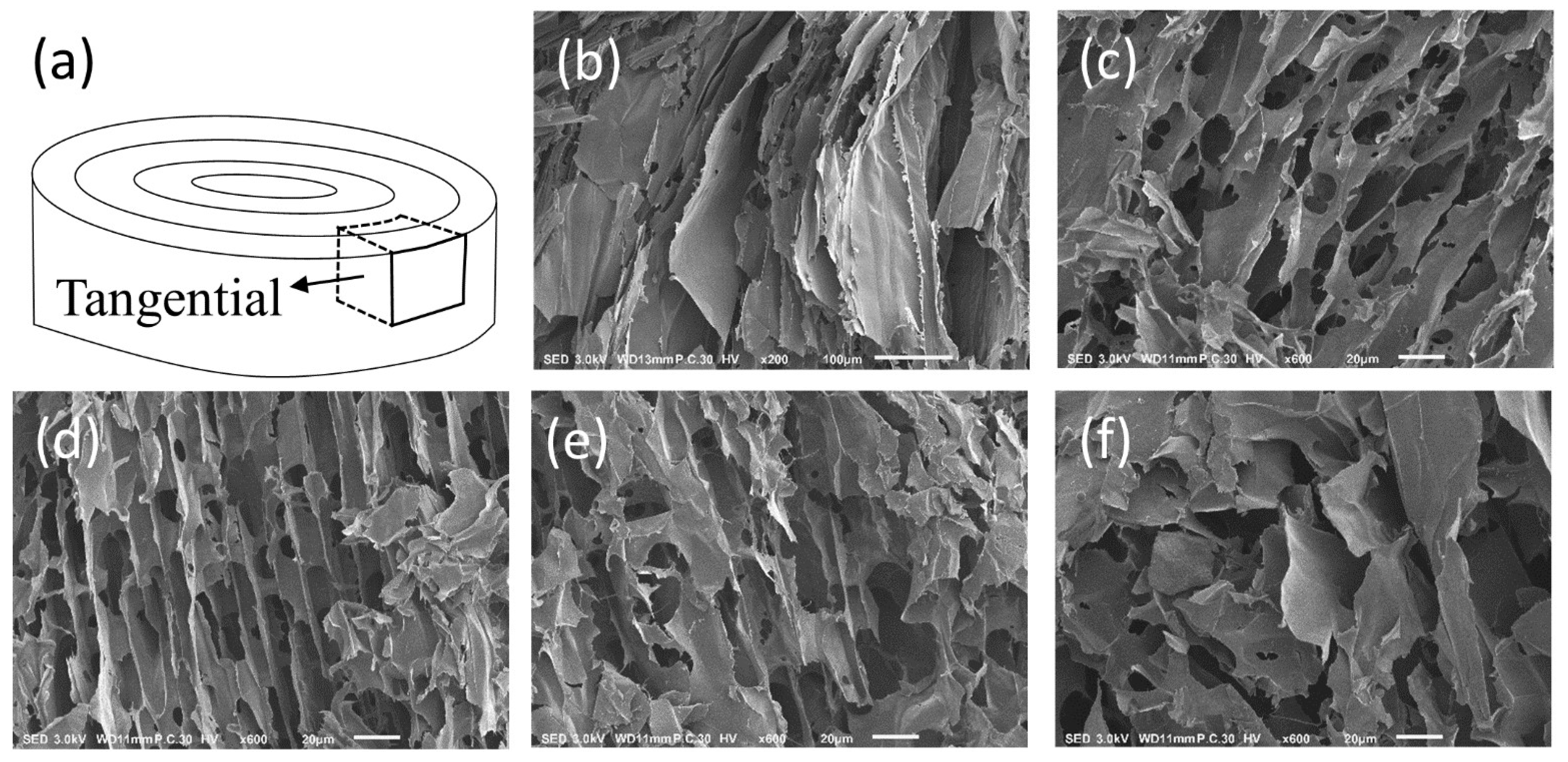 Colloids 03 00046 g004