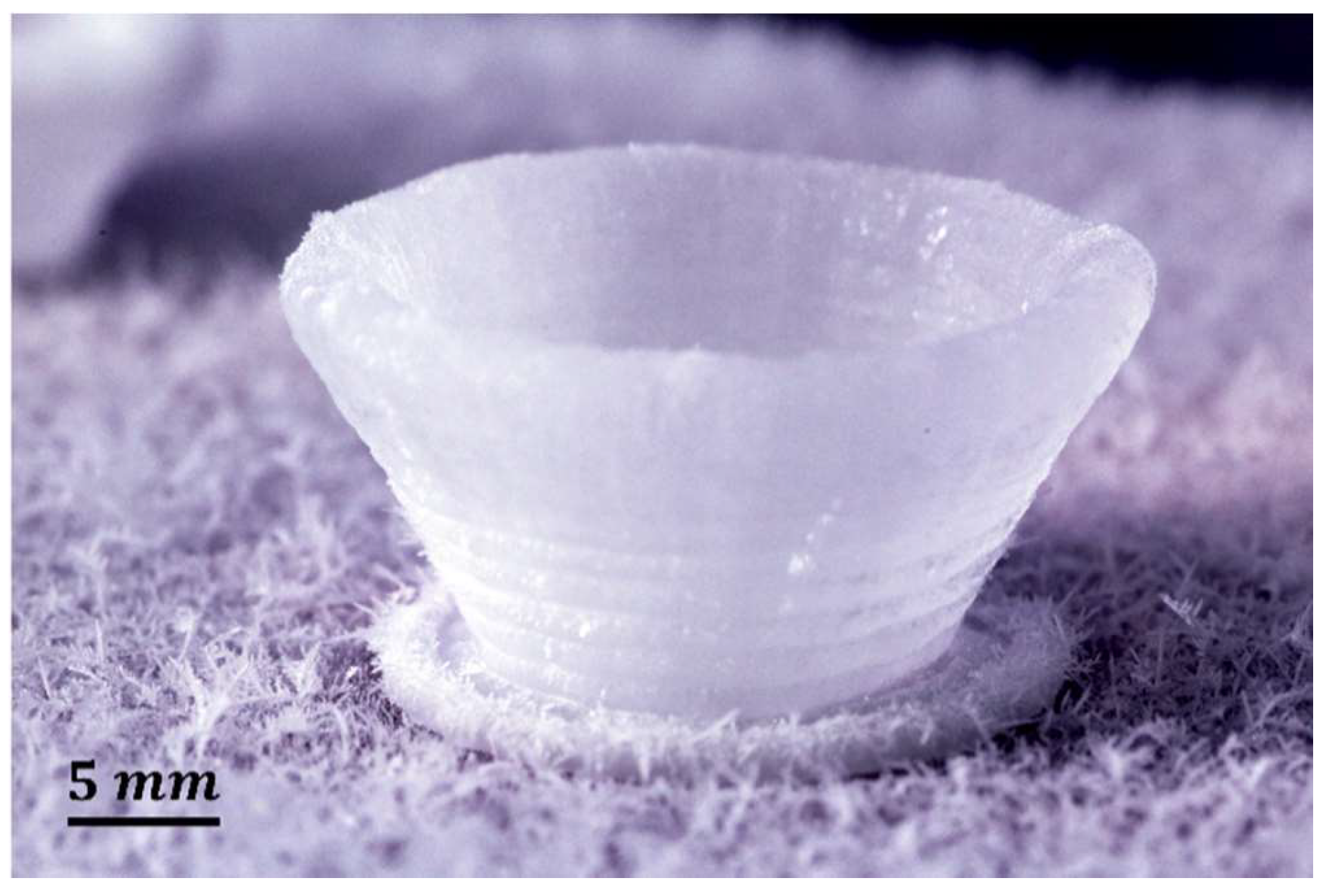 Colloids 03 00046 g008