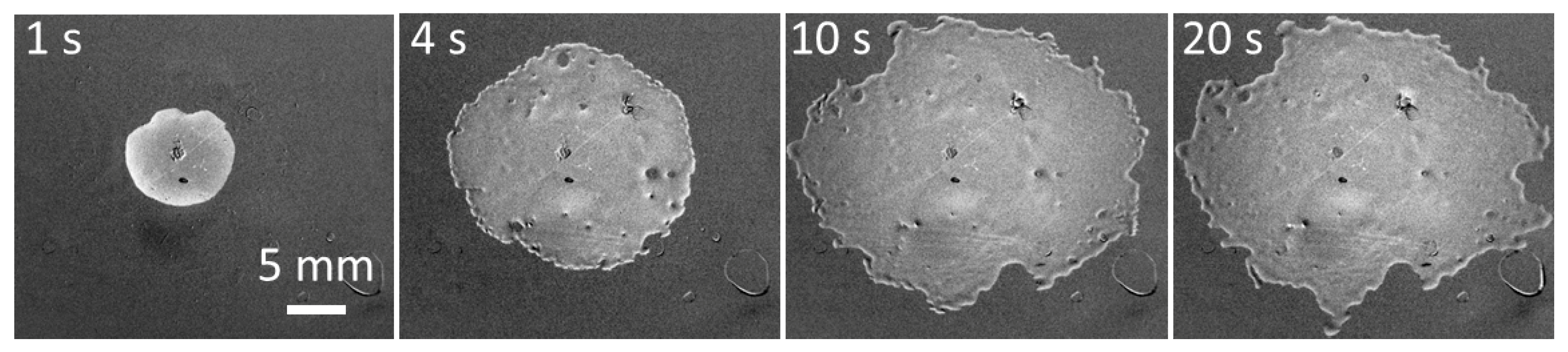 Colloids 03 00051 g004